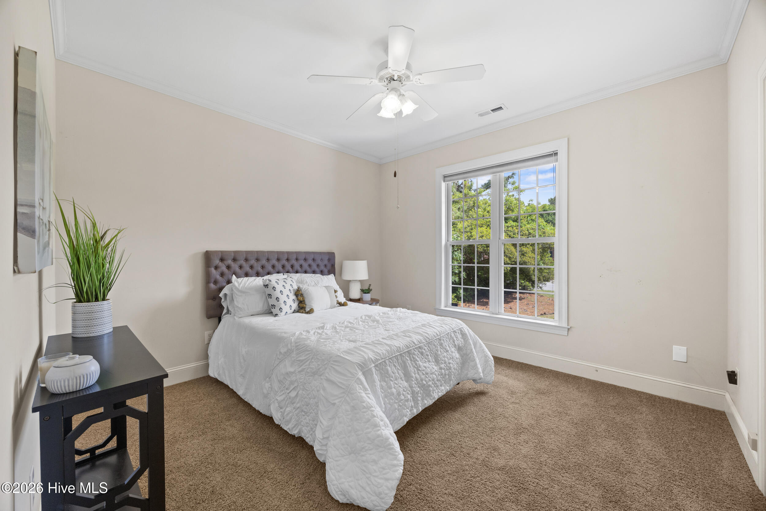 100564143 | Photo 23