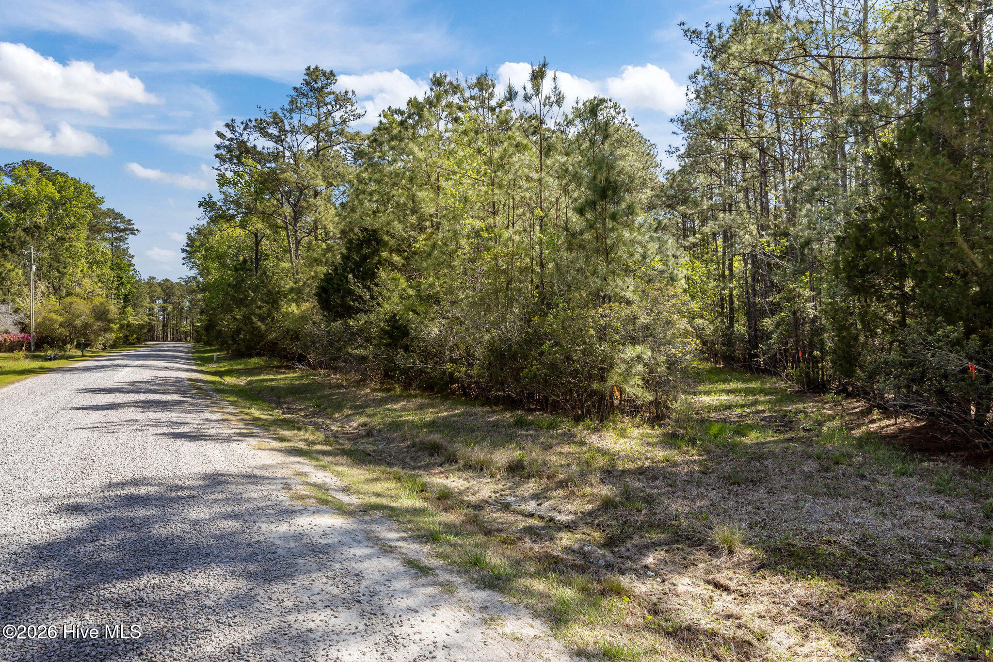 4-web-or-mls-0C0A0009