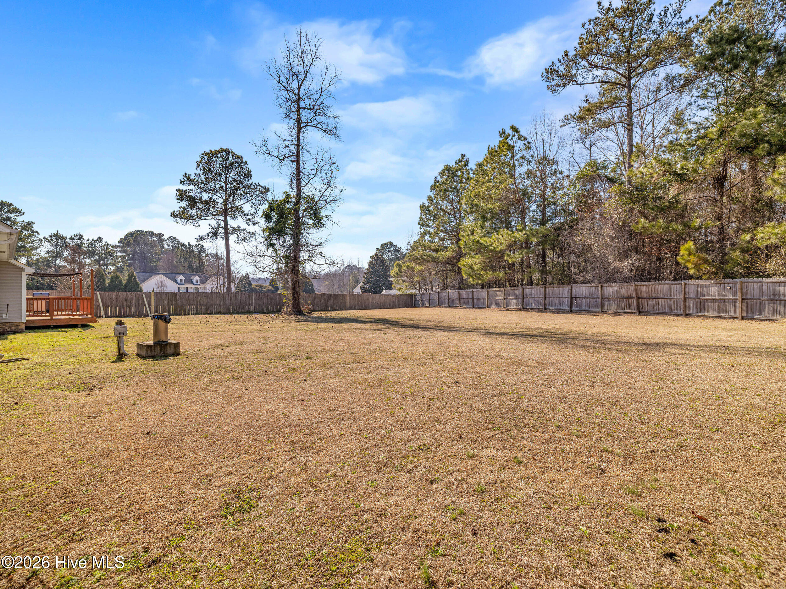 100554161 | Photo 43