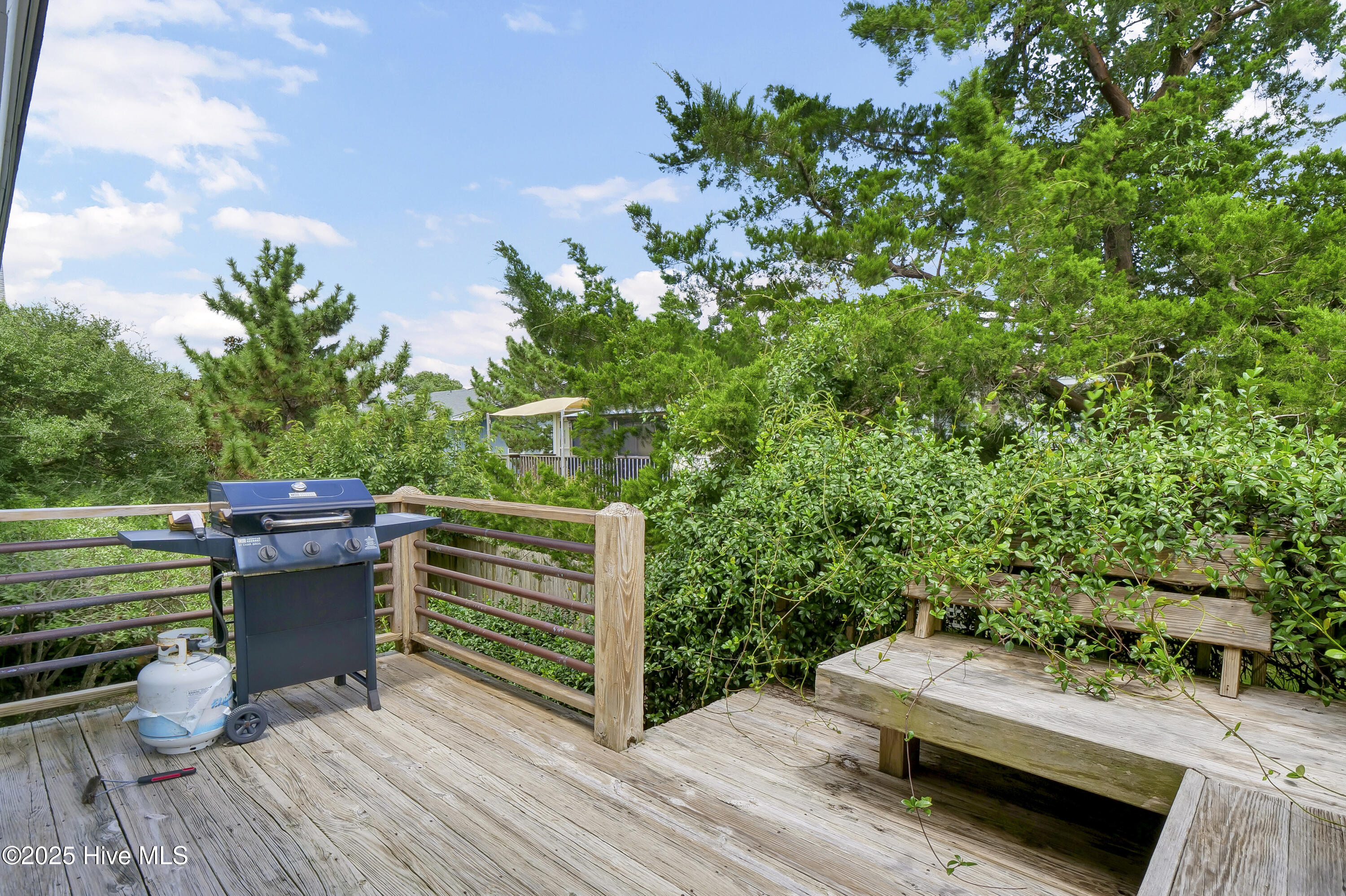 100524667 | Photo 18