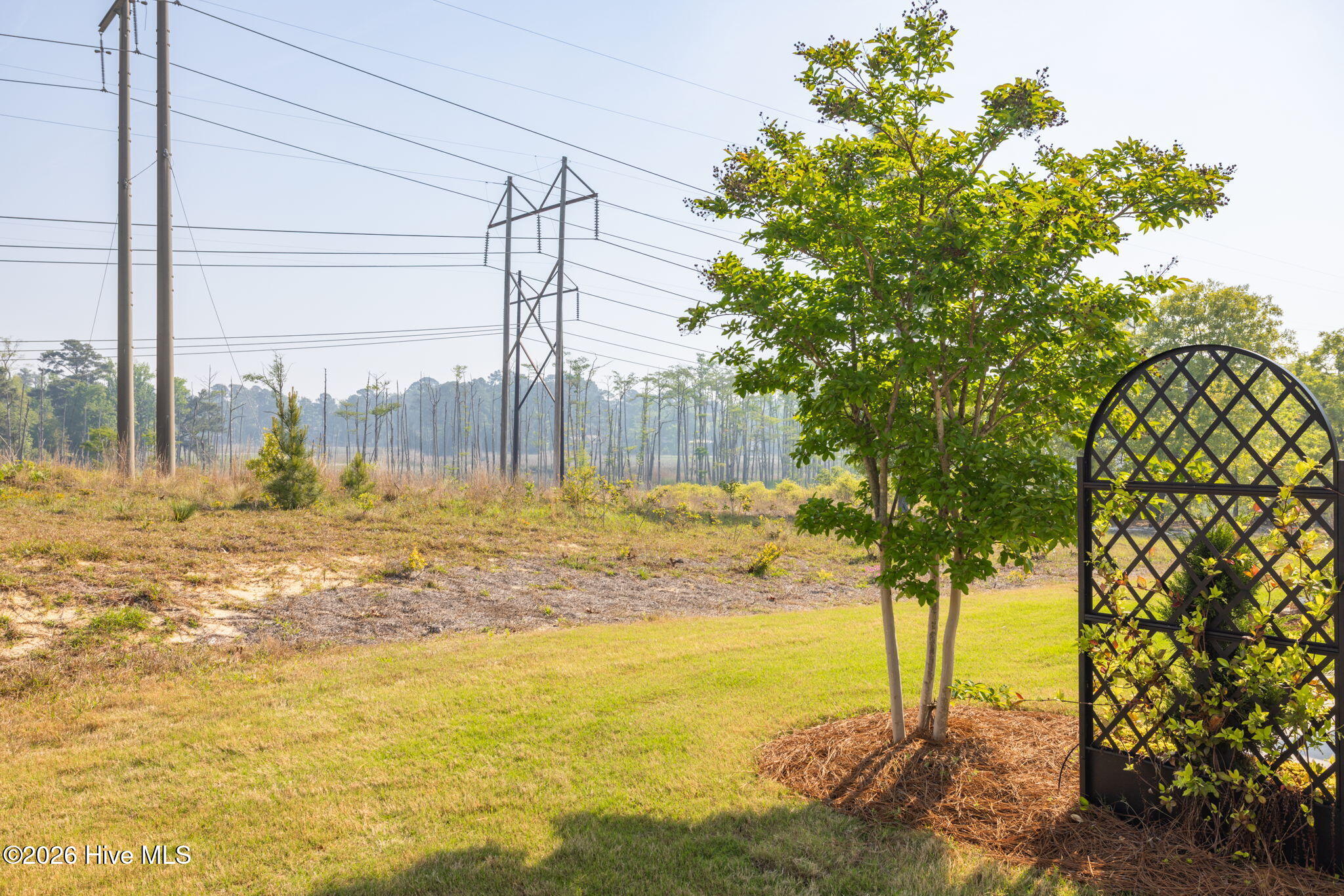 100567732 | Photo 31