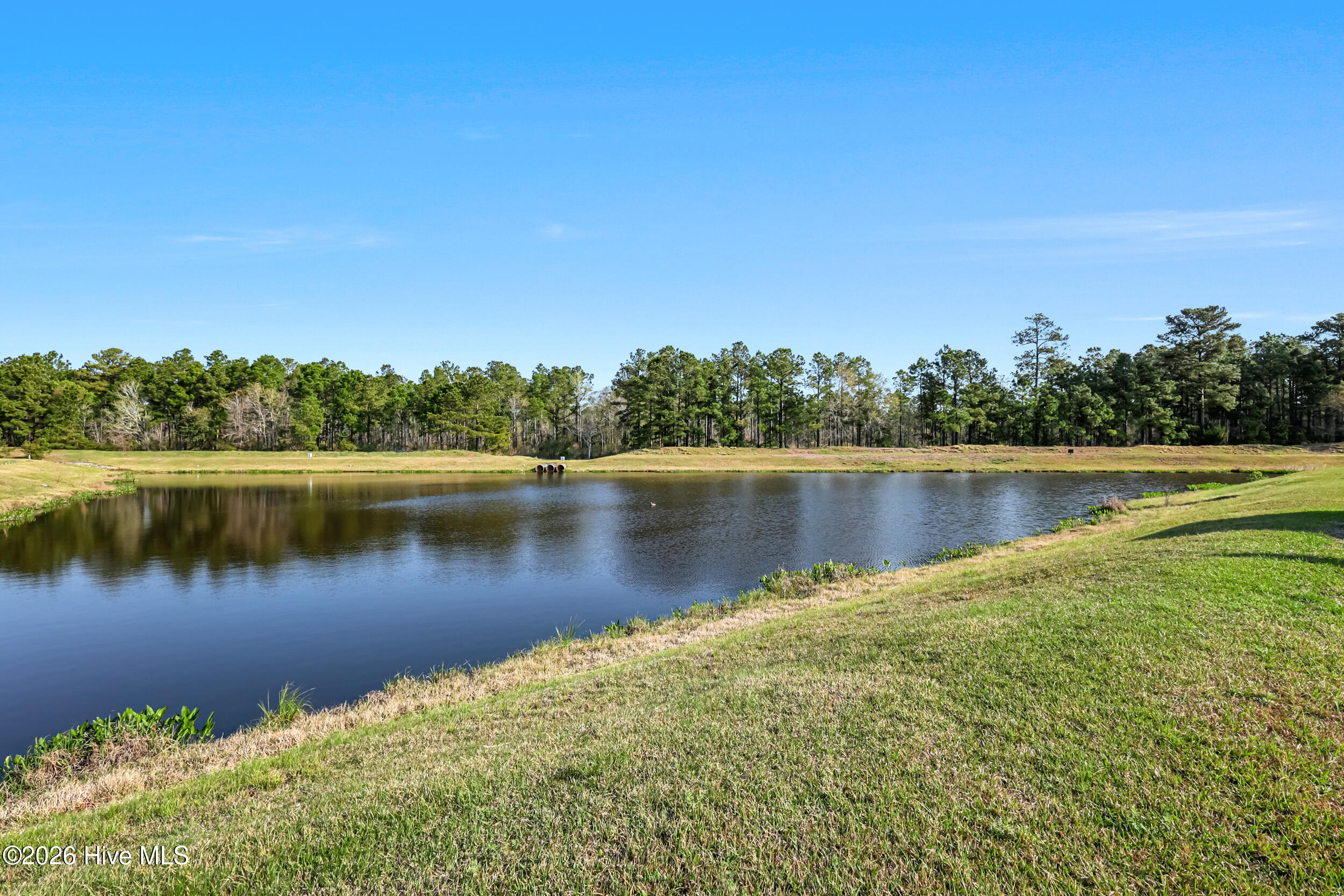 100552325 | Photo 51