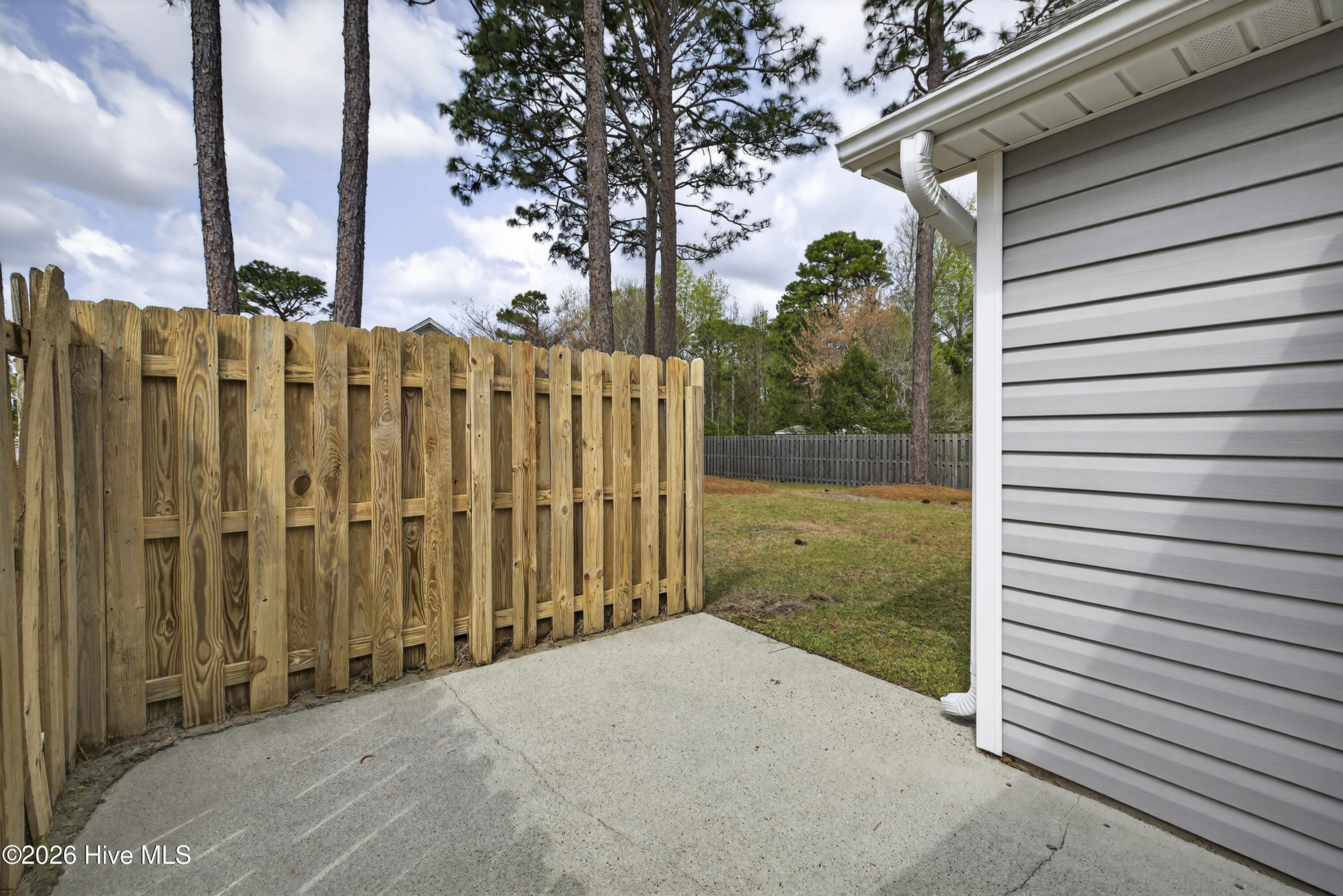 100563145 | Photo 24