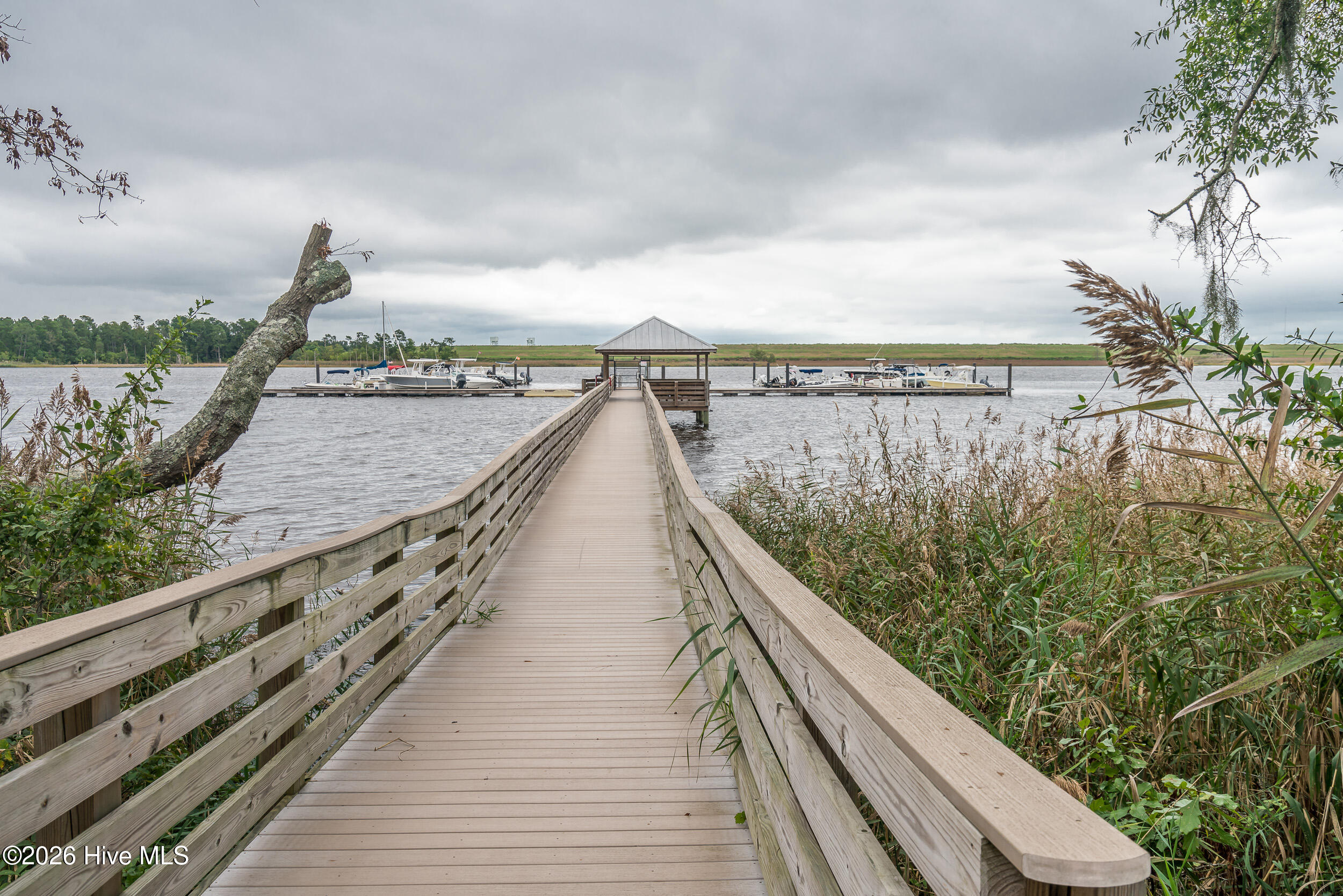 100551488 | Photo 47