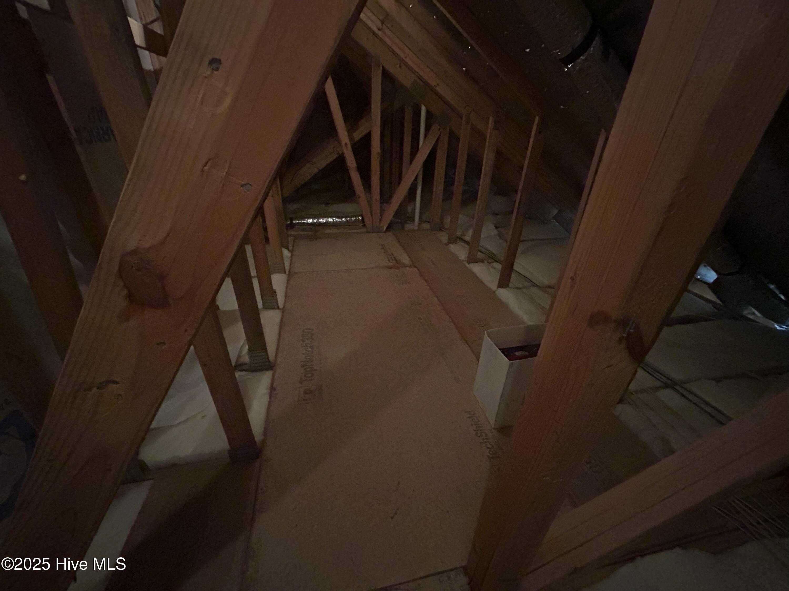 100541587 | Photo 33