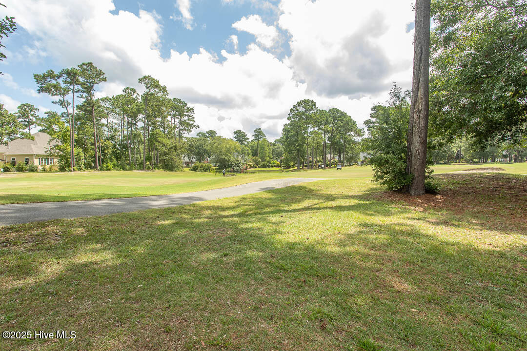 100521008 | Photo 47