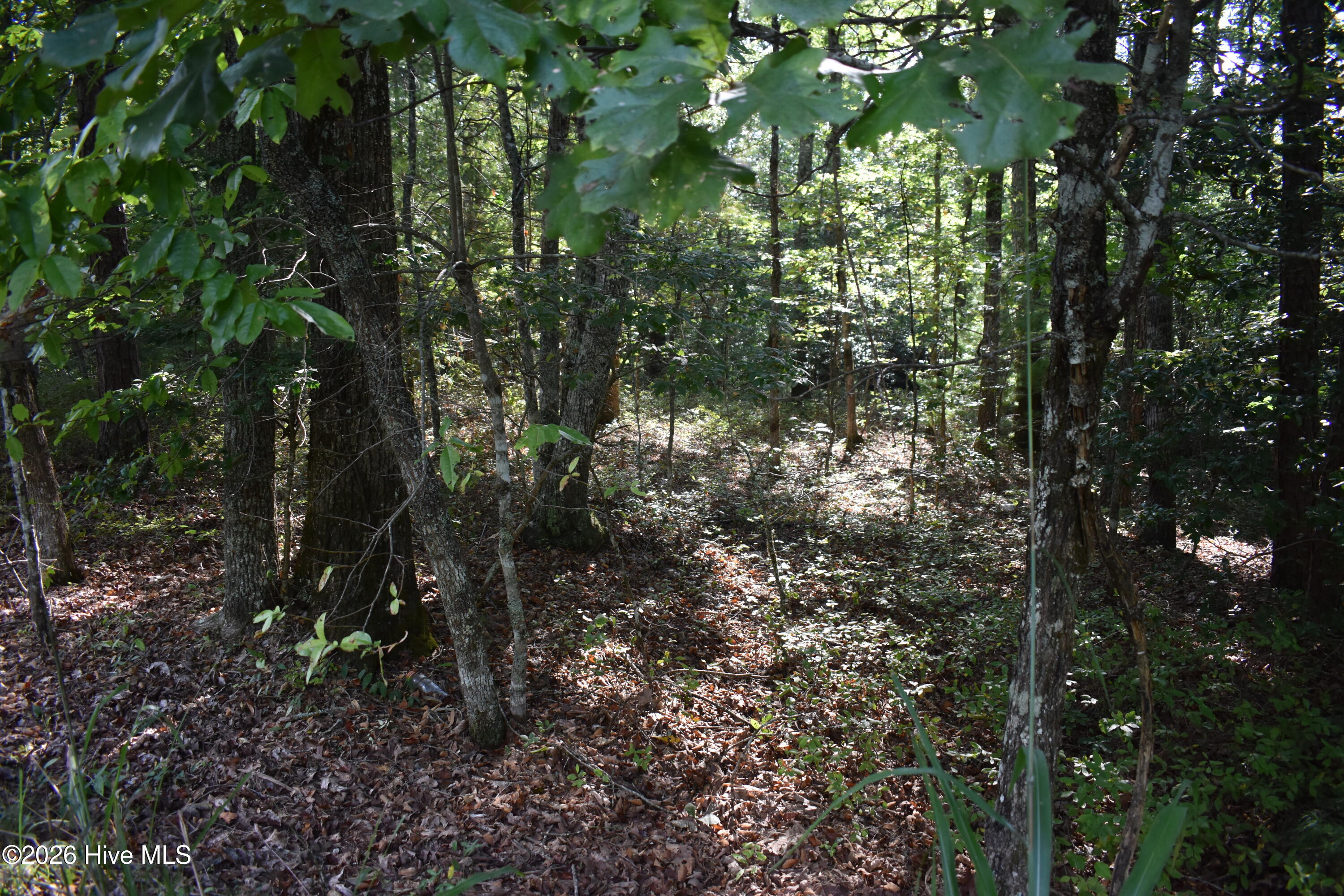 Photo 11 of Land for sale at Lot 31 Ranger Rd, Murphy, NC 28906 | MLS# 100601607 | Listing updated on 2026-09-04