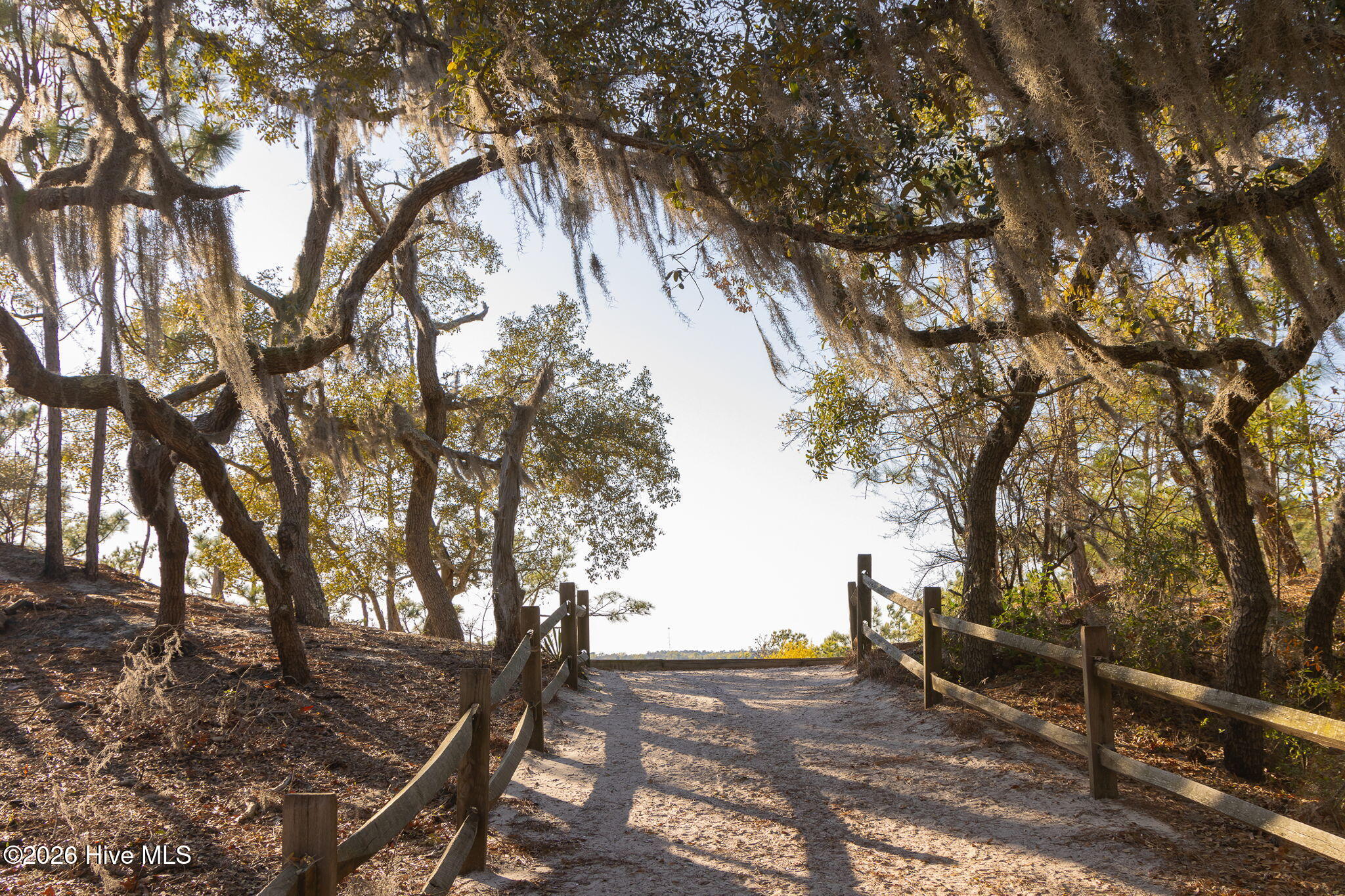 100558959 | Photo 41