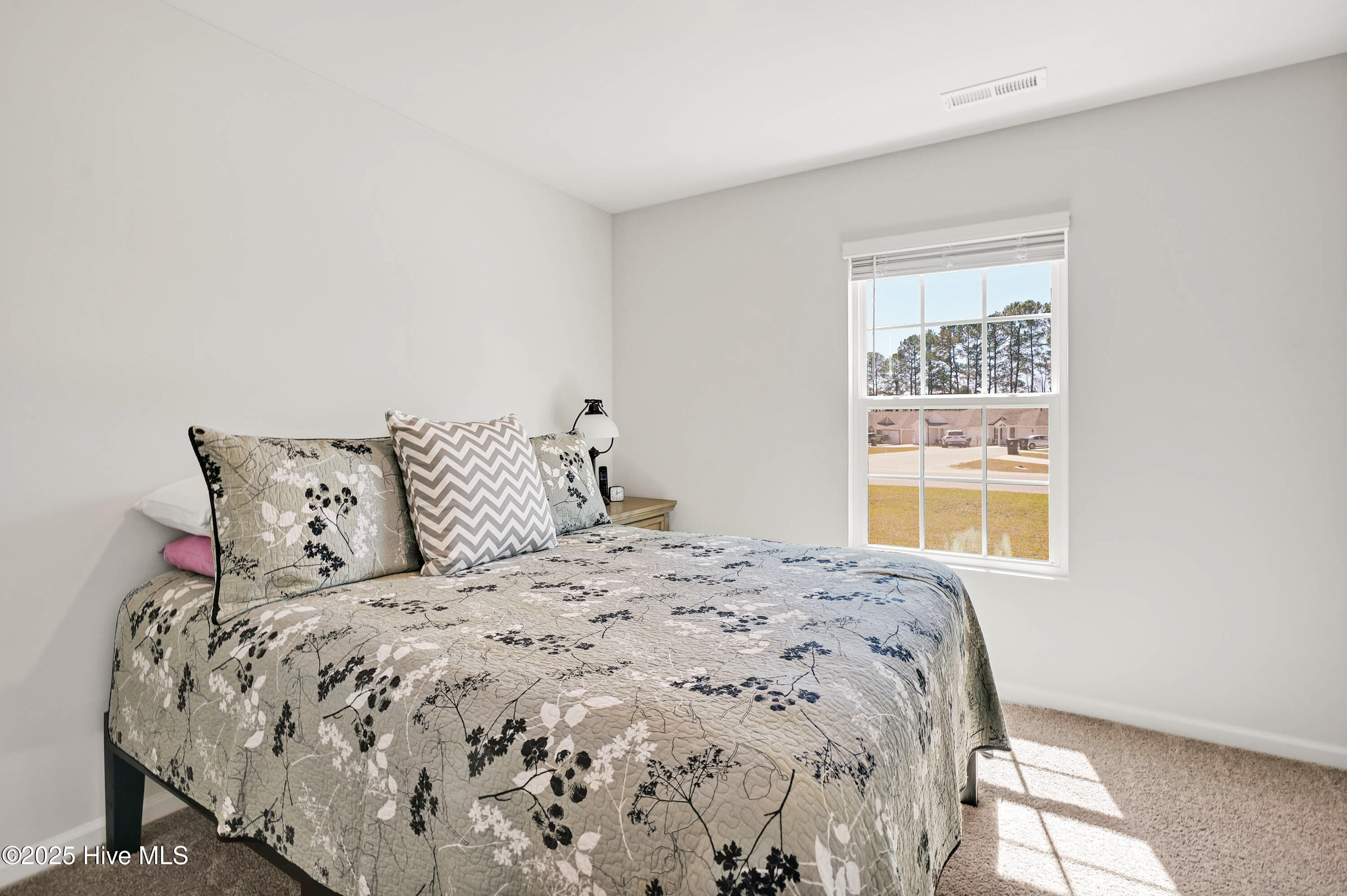 100557853 | Photo 18