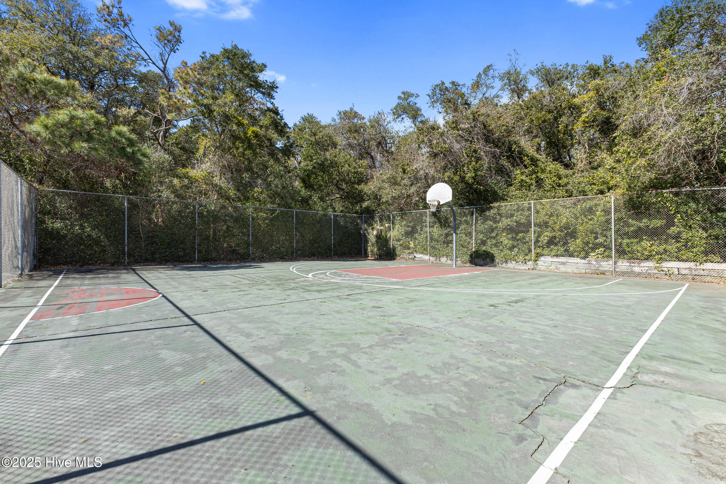 100518550 | Photo 59