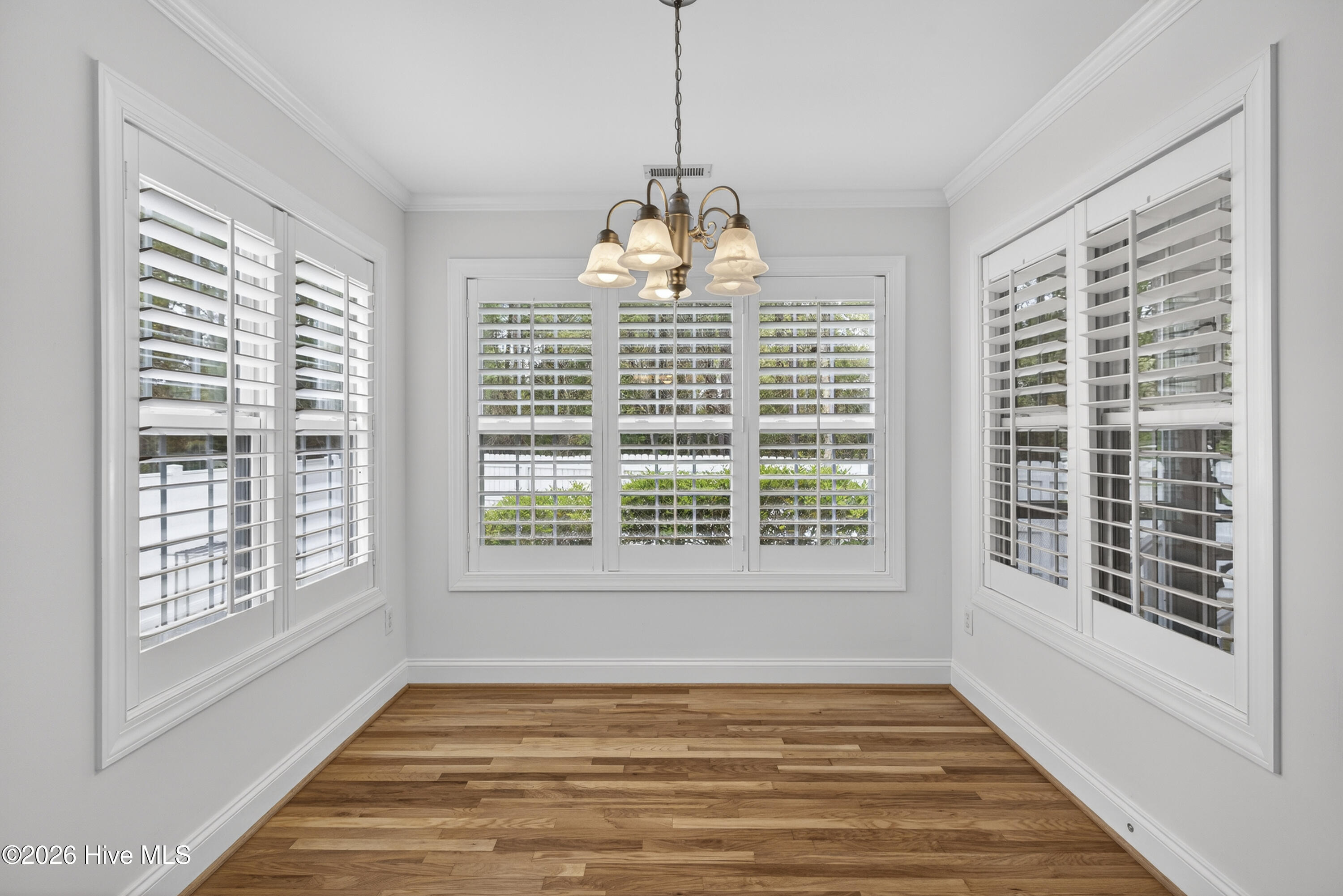 100563157 | Photo 13