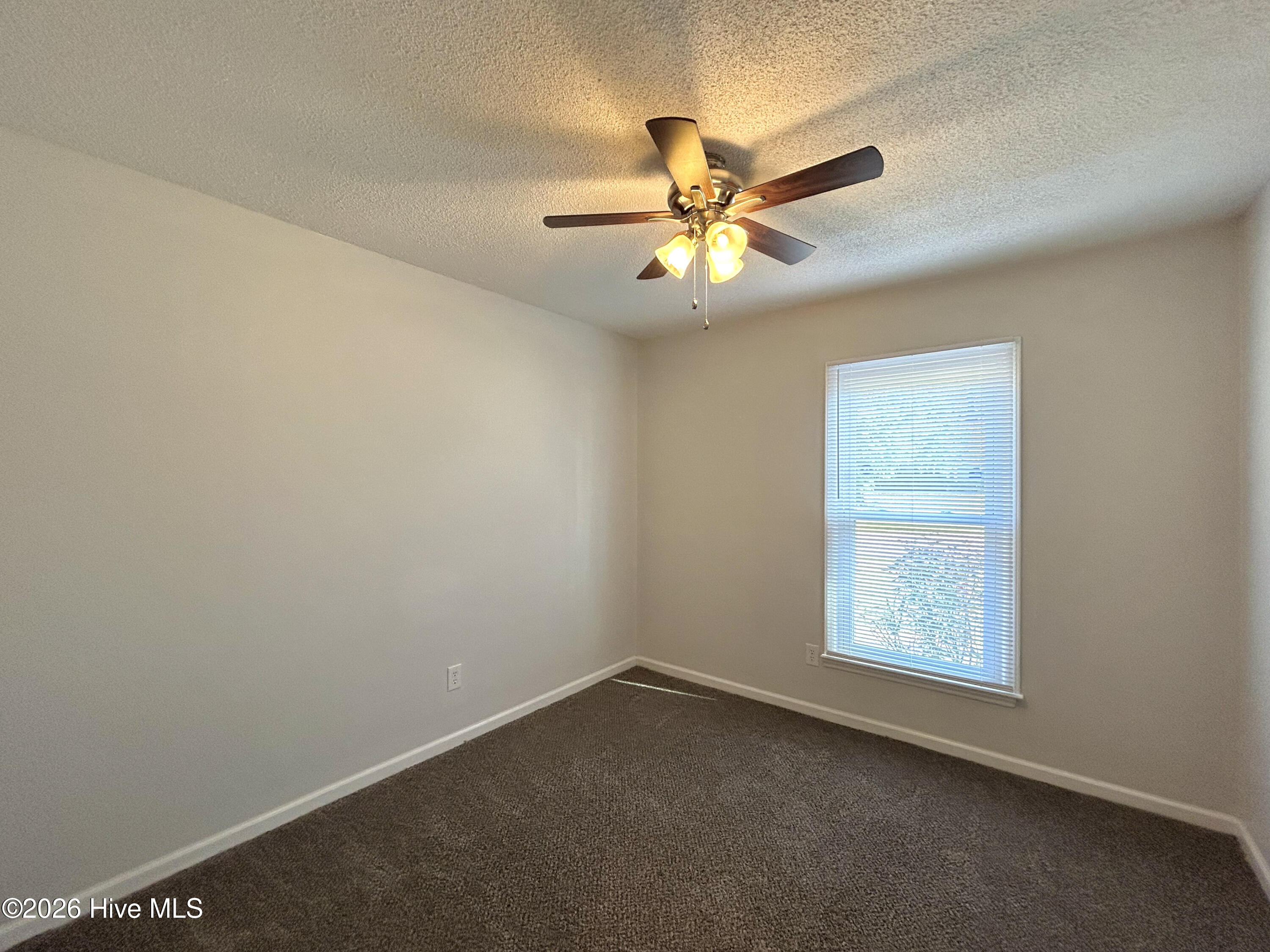 100563583 | Photo 21