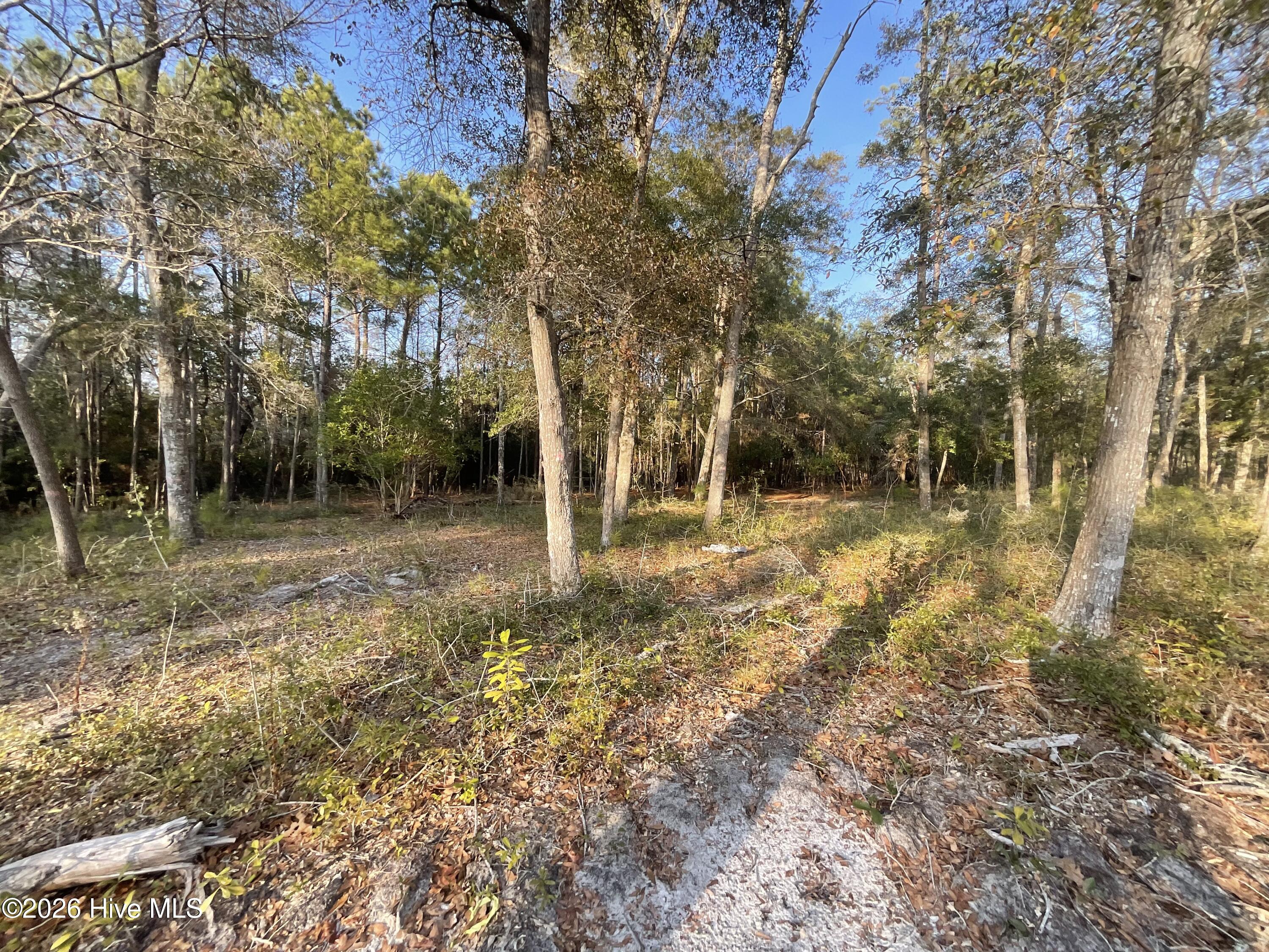 3372 Stone Crab Court SW, Supply, NC, 28462