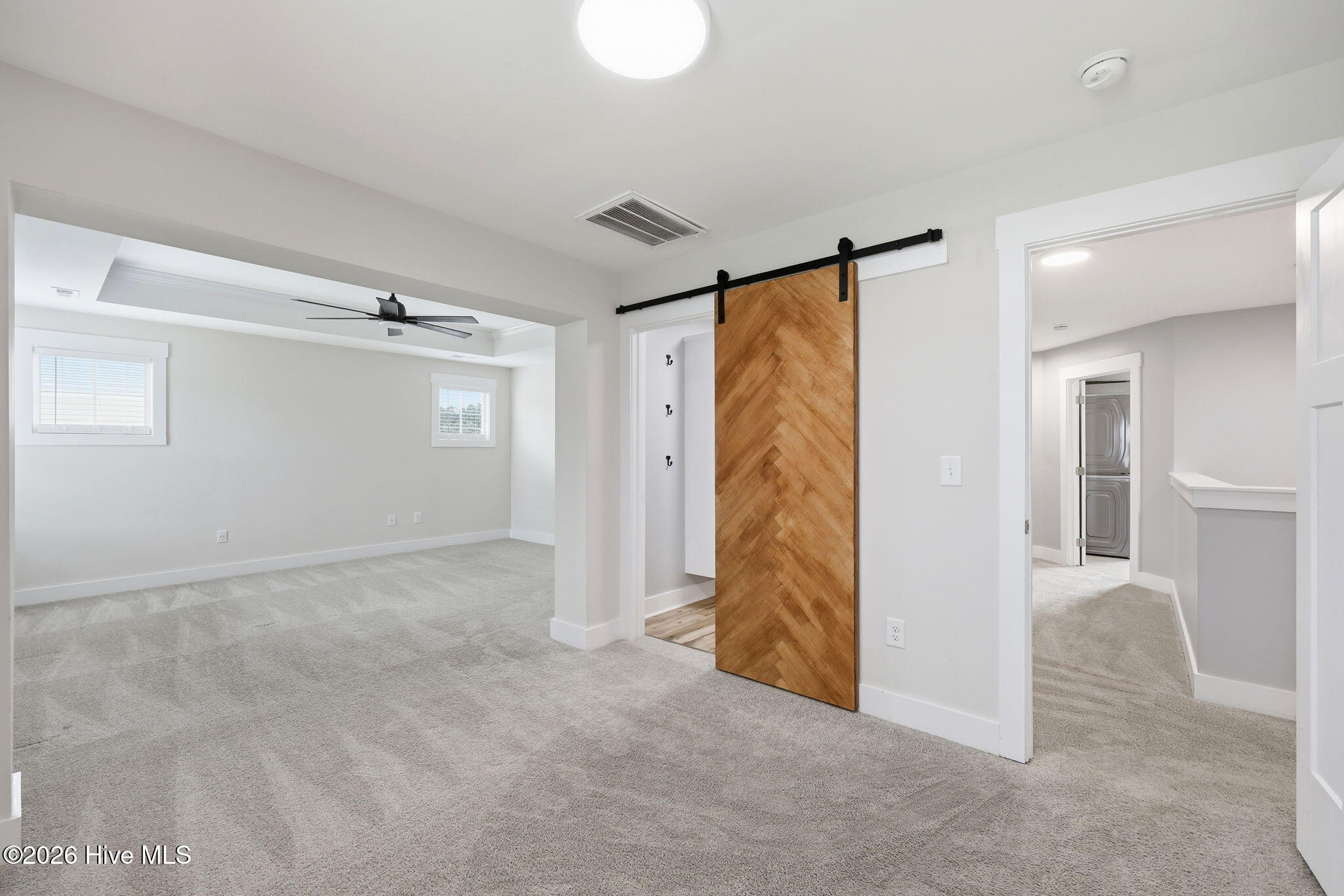 Custom Closet door