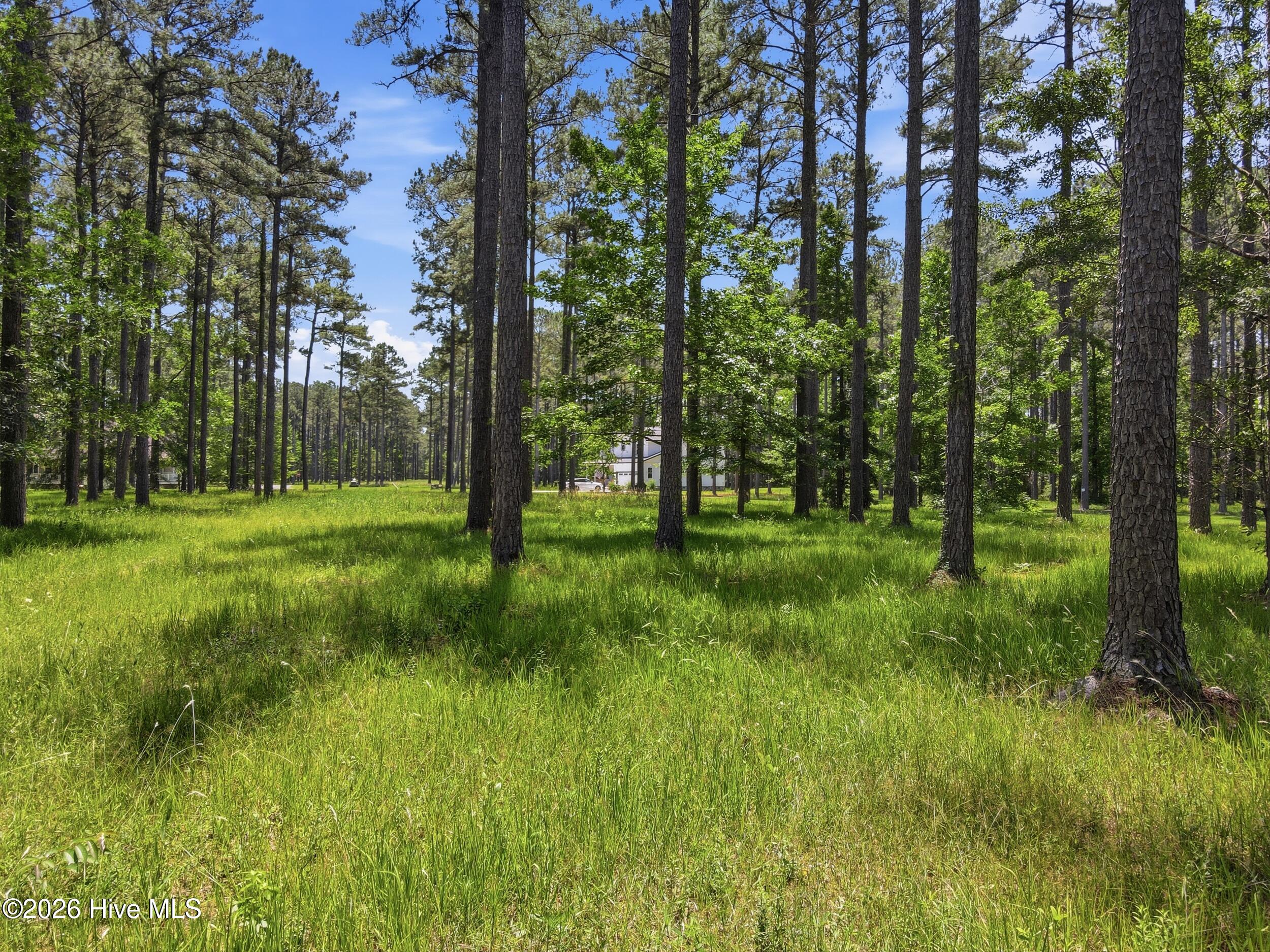 130 Ocracoke Drive,Oriental