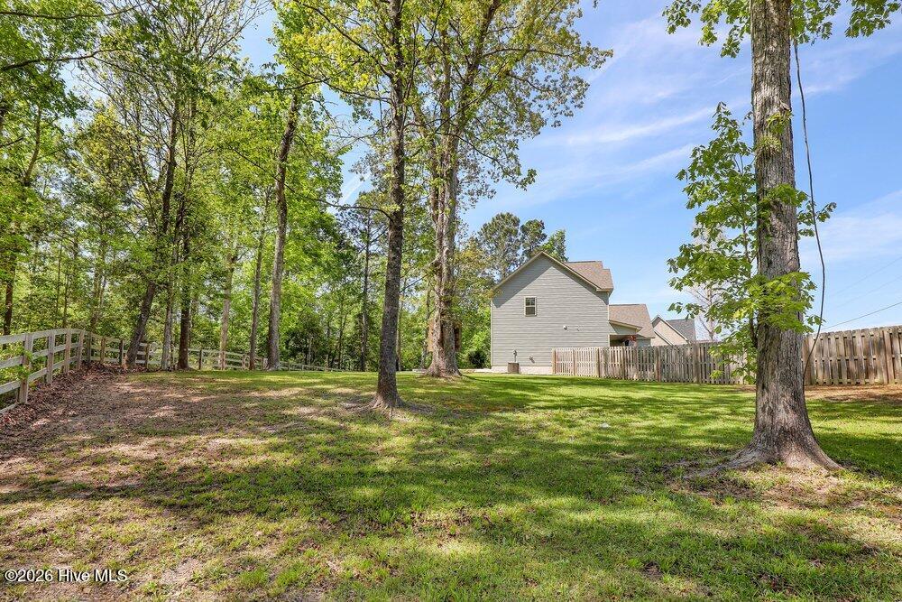 100567817 | Photo 30