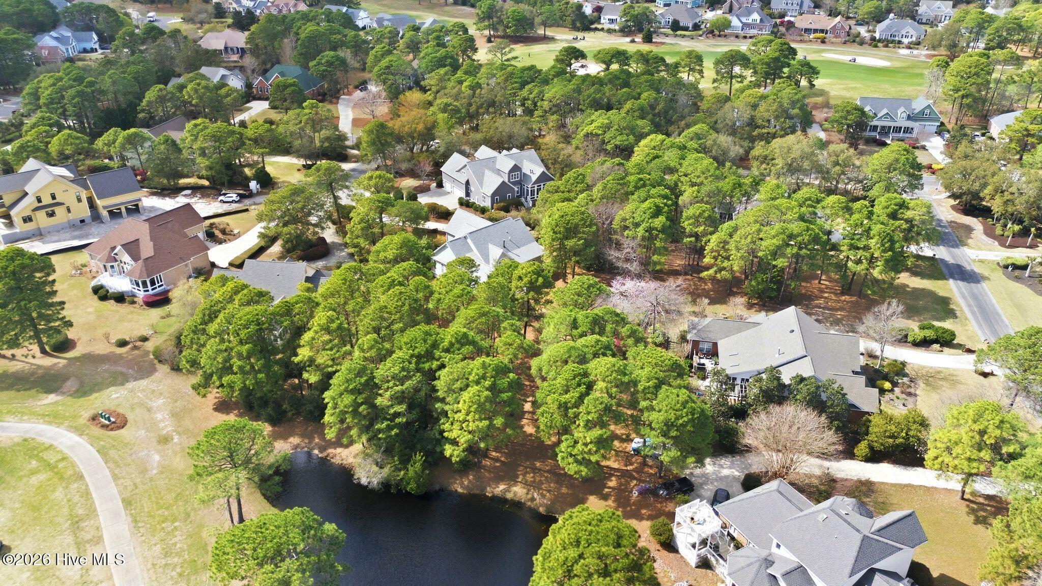 100564231 | Photo 77