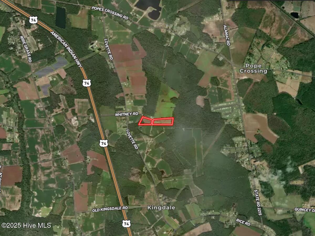 100511936 | Photo 20