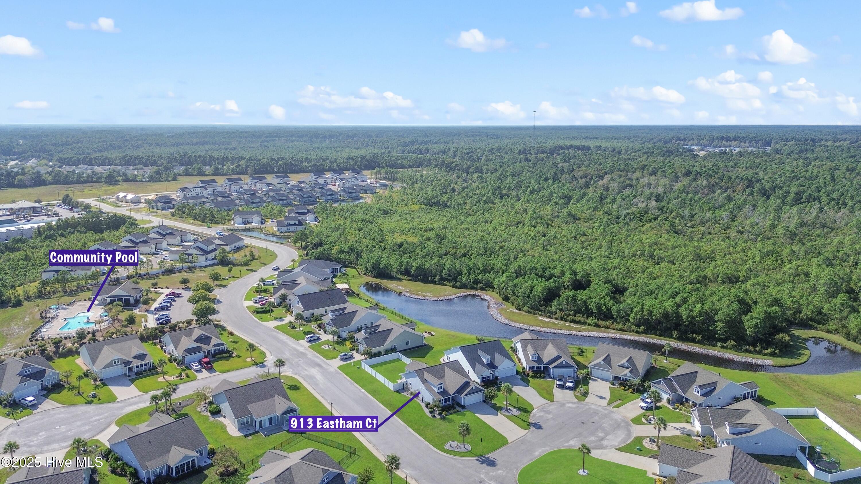 100535031 | Photo 41