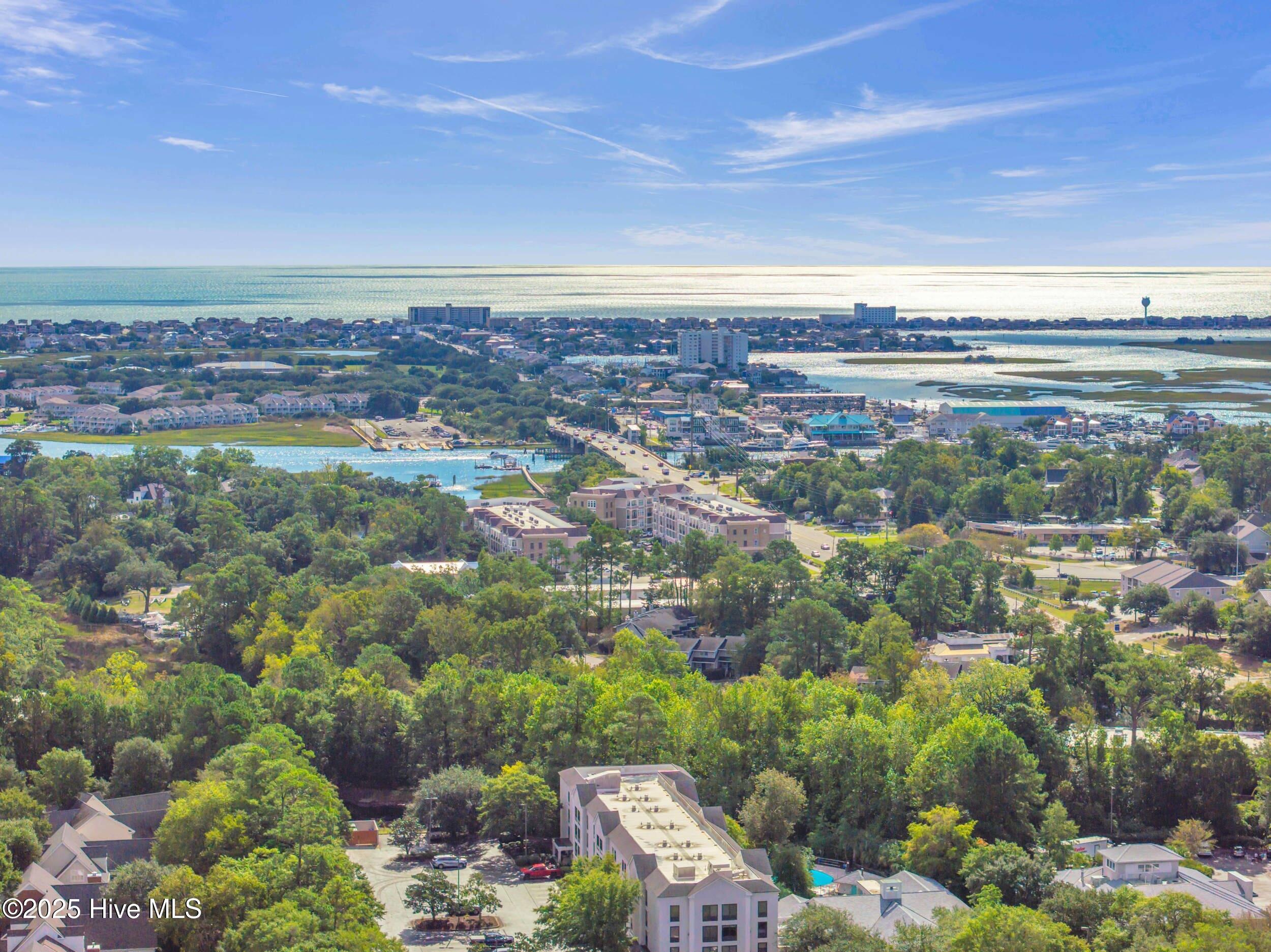 100536582 | Photo 41