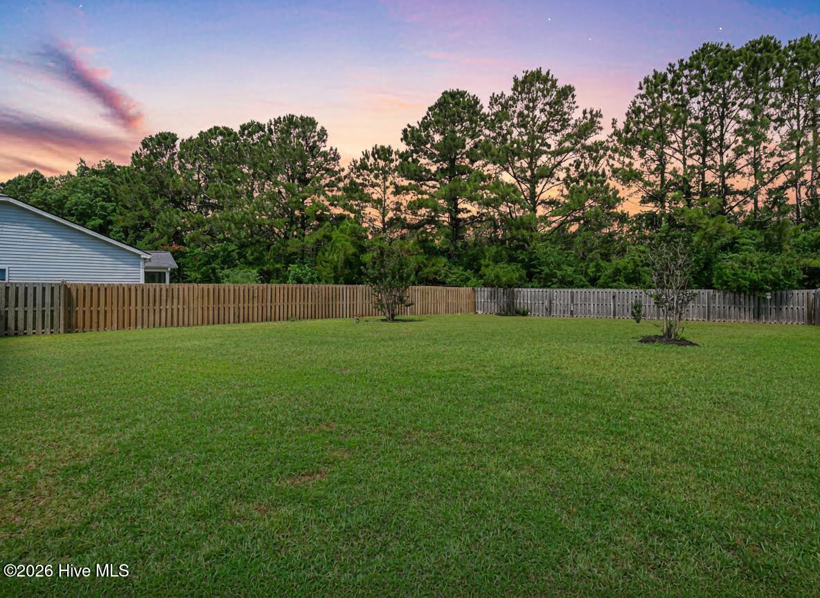 100513564 | Photo 26