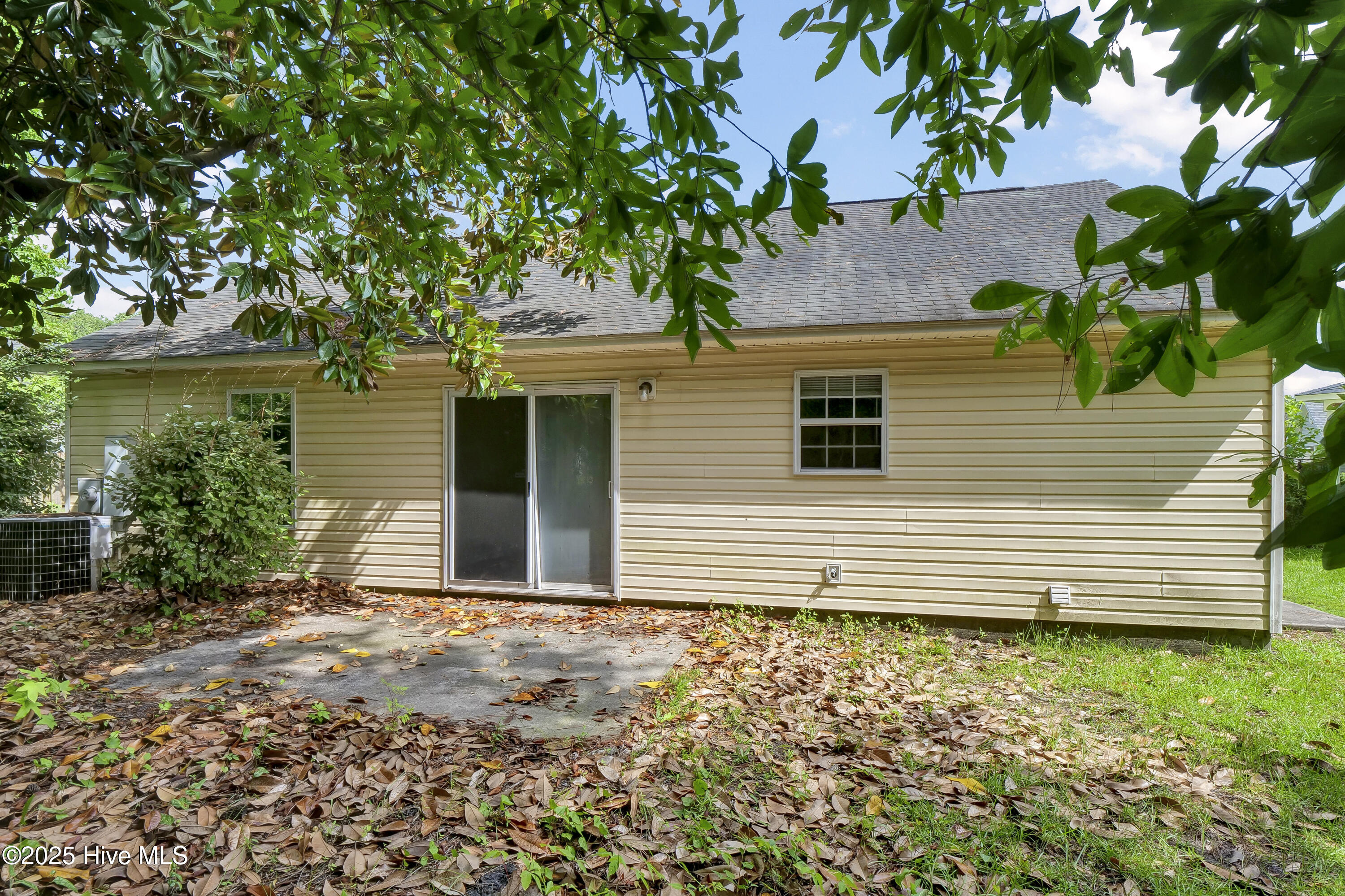 100517859 | Photo 28