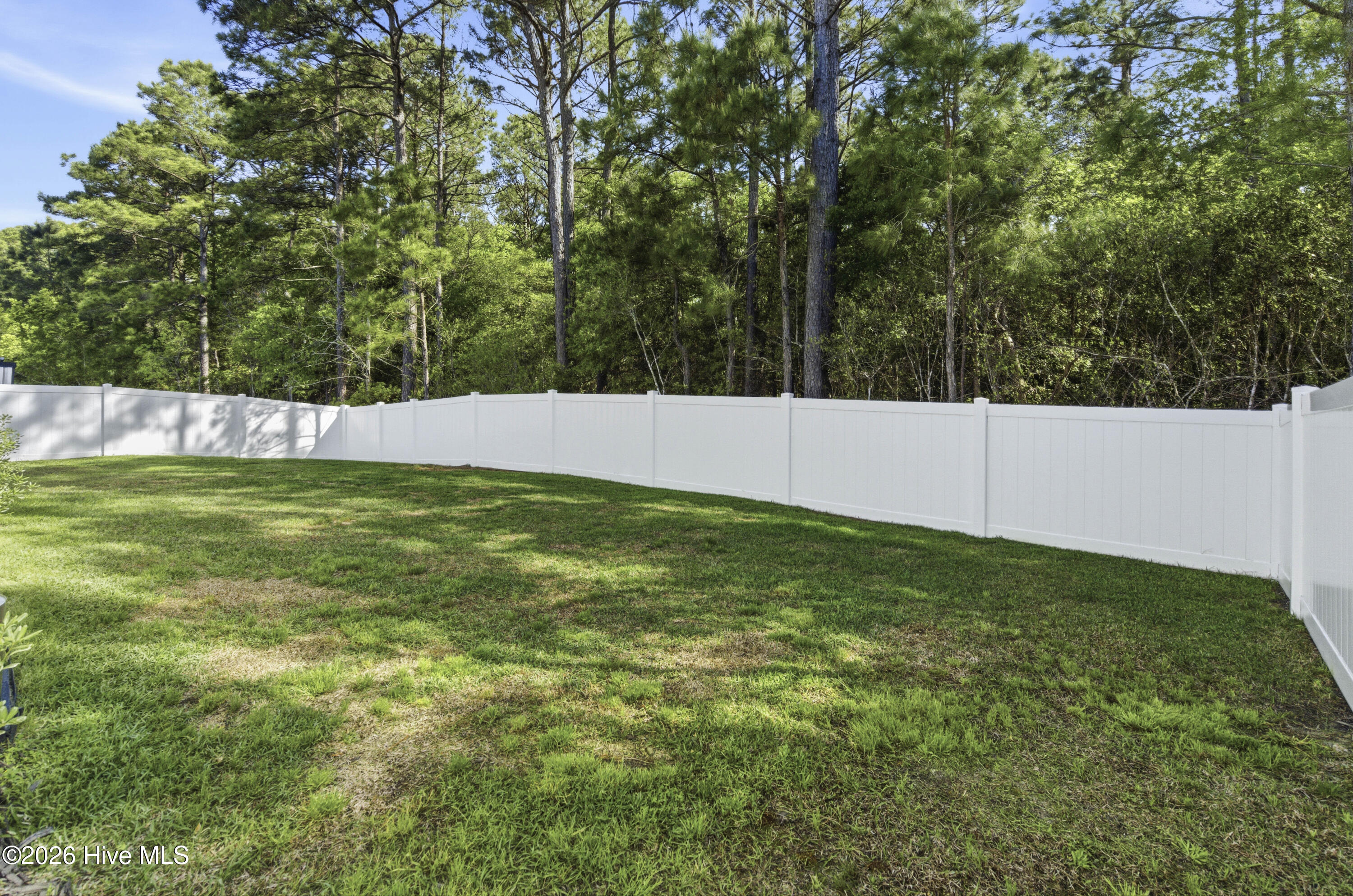 100568018 | Photo 51