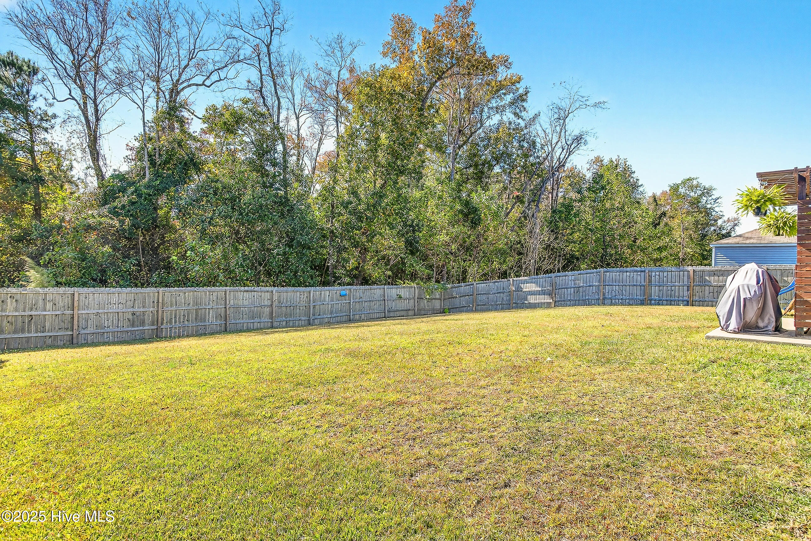 100539677 | Photo 34