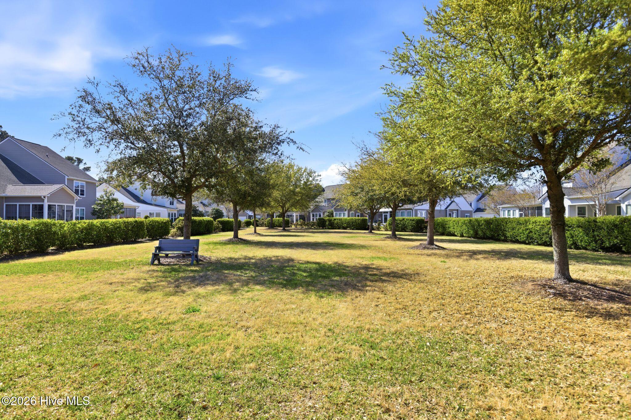 100564398 | Photo 49