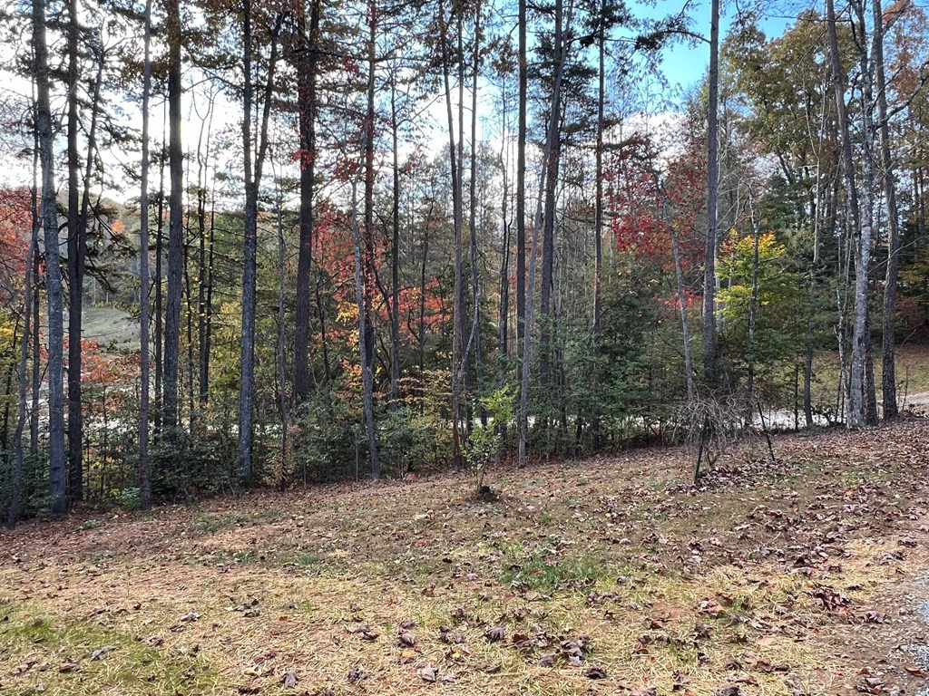 Back Lawn