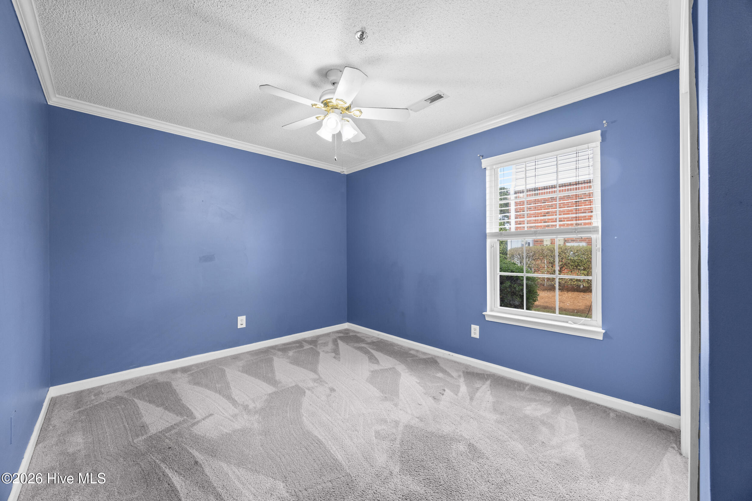 100564303 | Photo 11