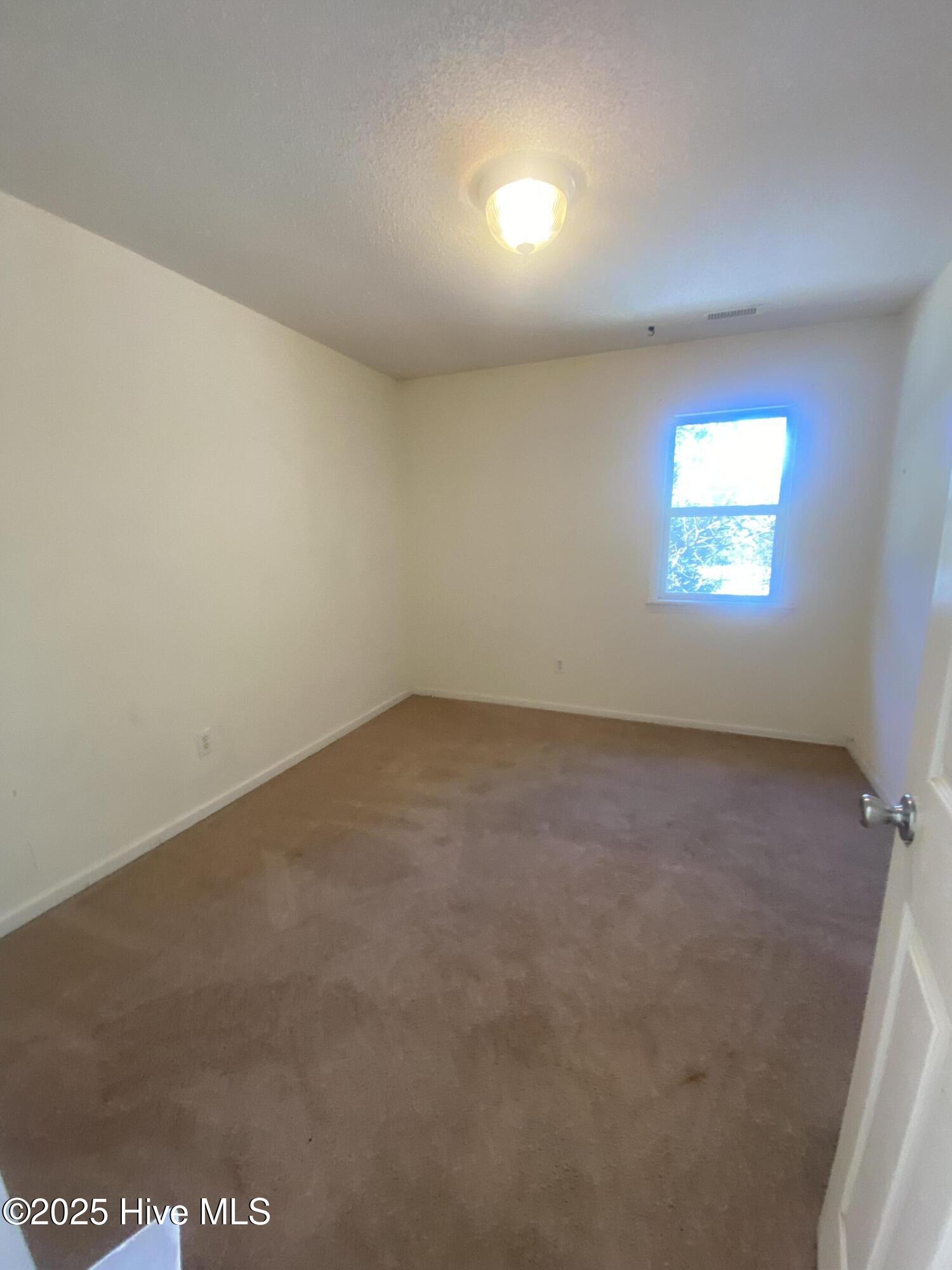 100517561 | Photo 24