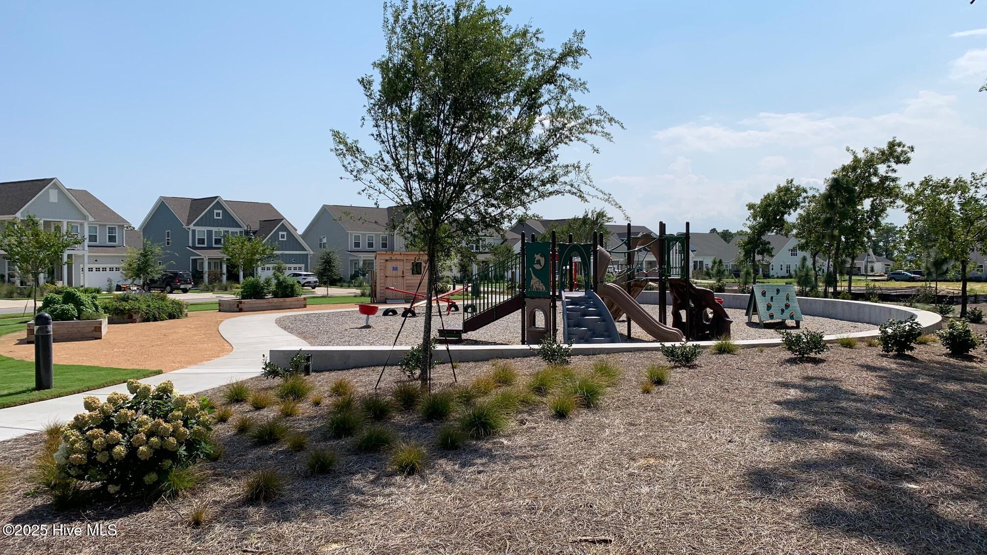 100524366 | Photo 102