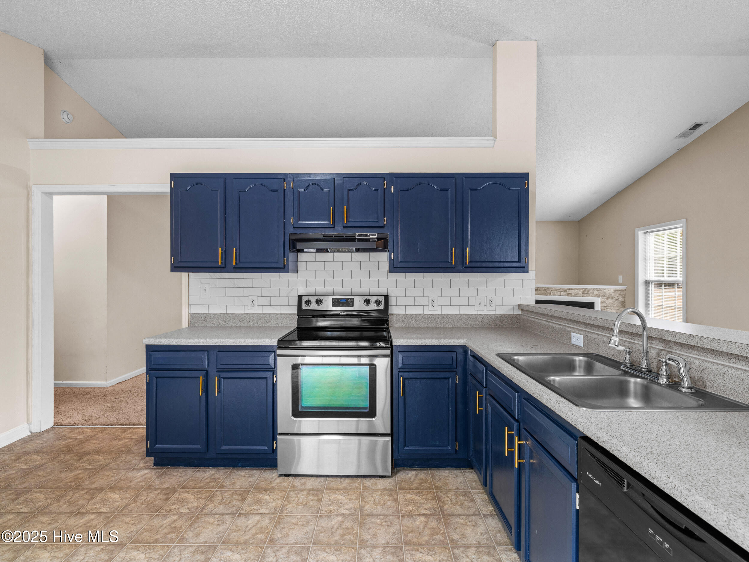 100546613 | Photo 19