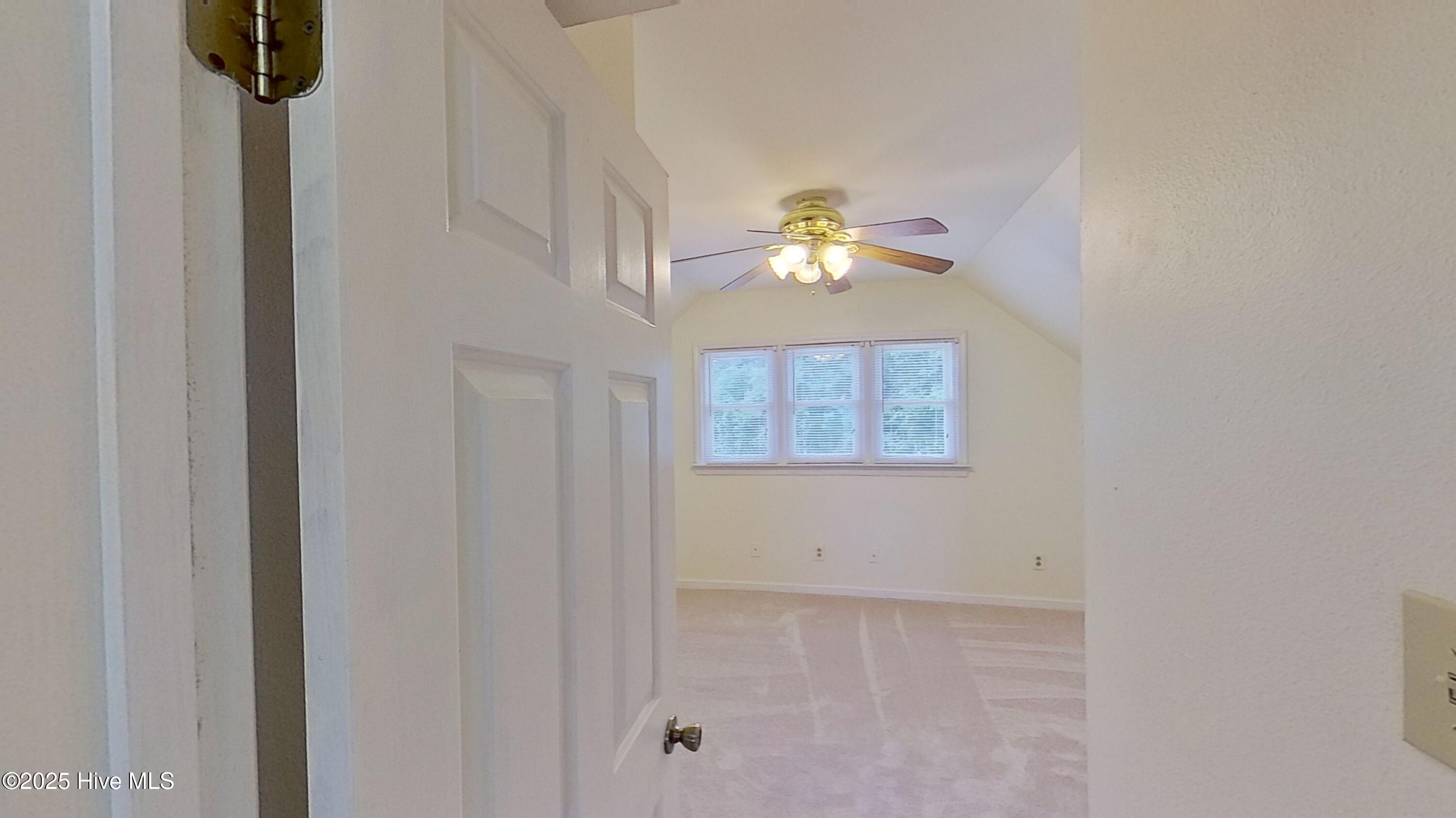 100543059 | Photo 33