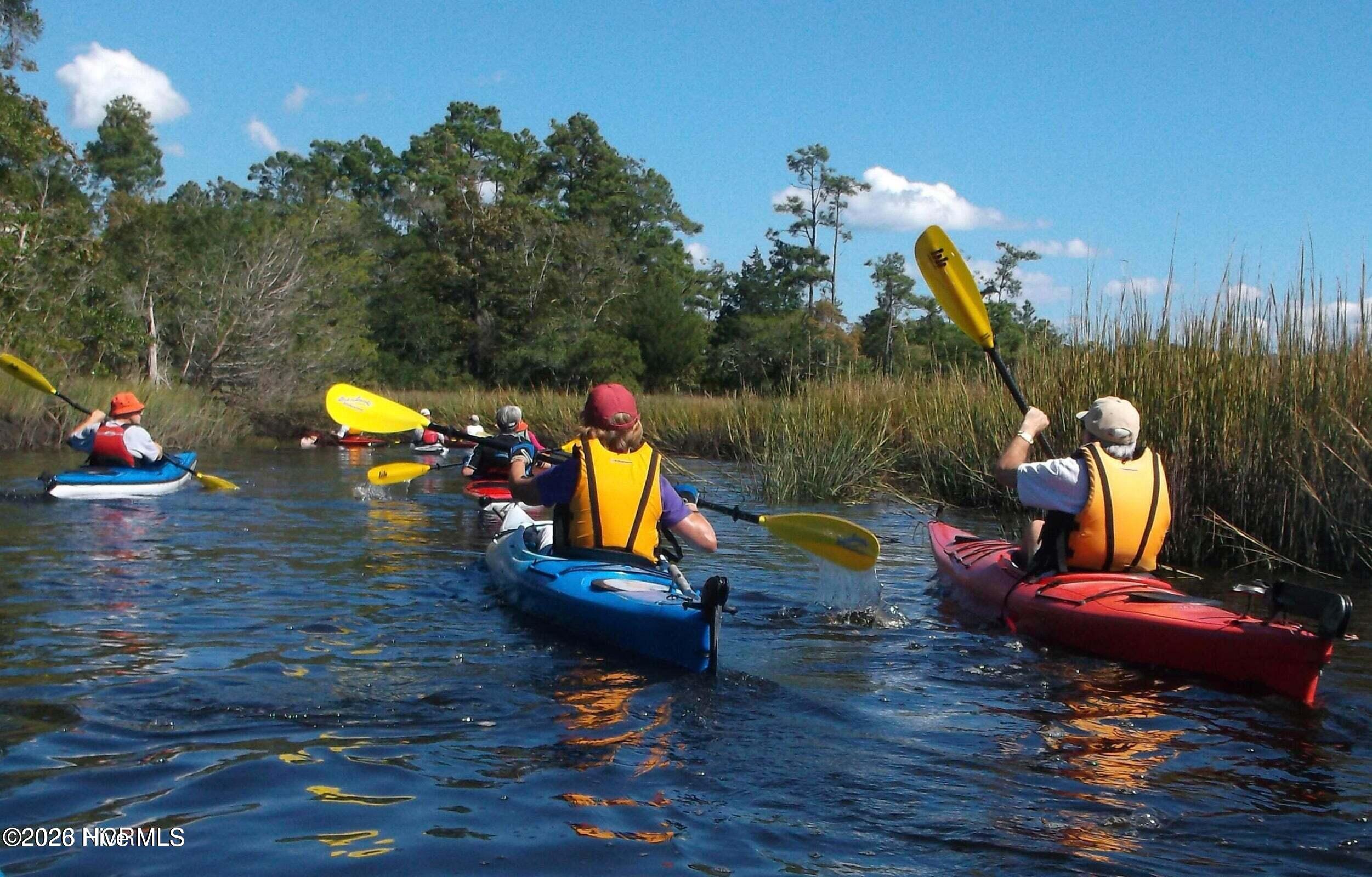 100565695 | Photo 58