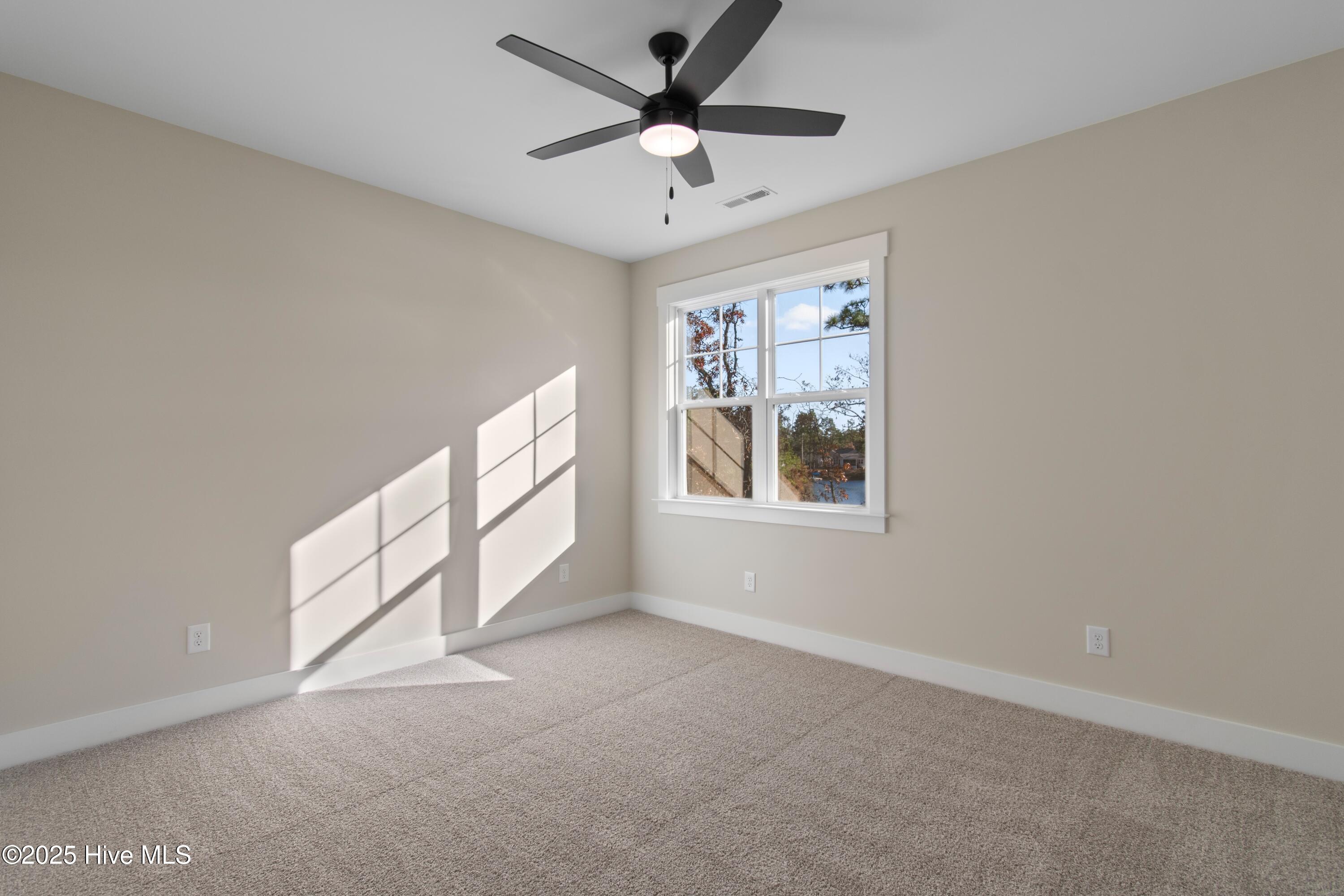 100520444 | Photo 50