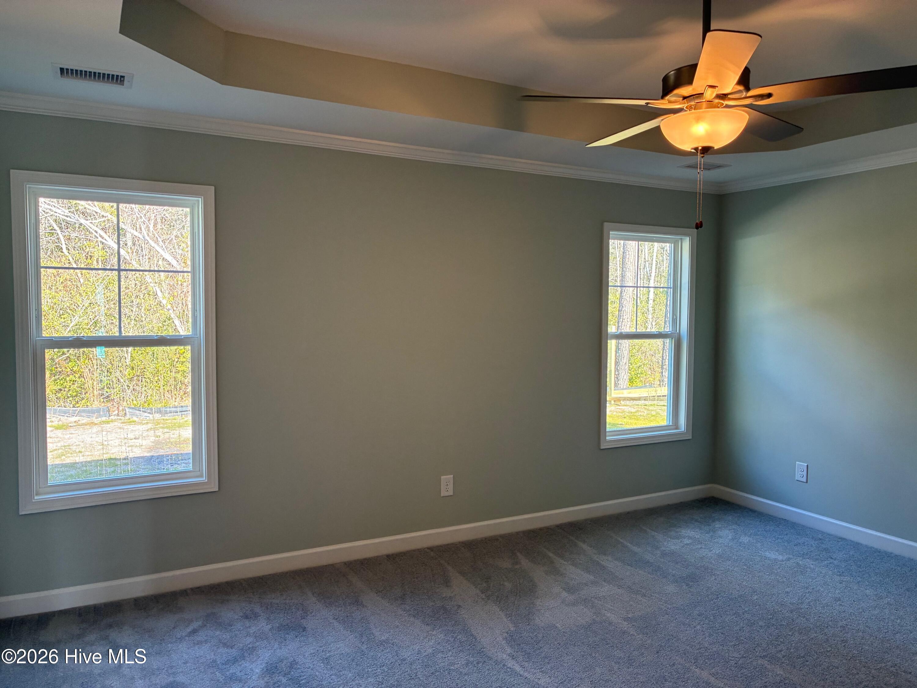 100529909 | Photo 11