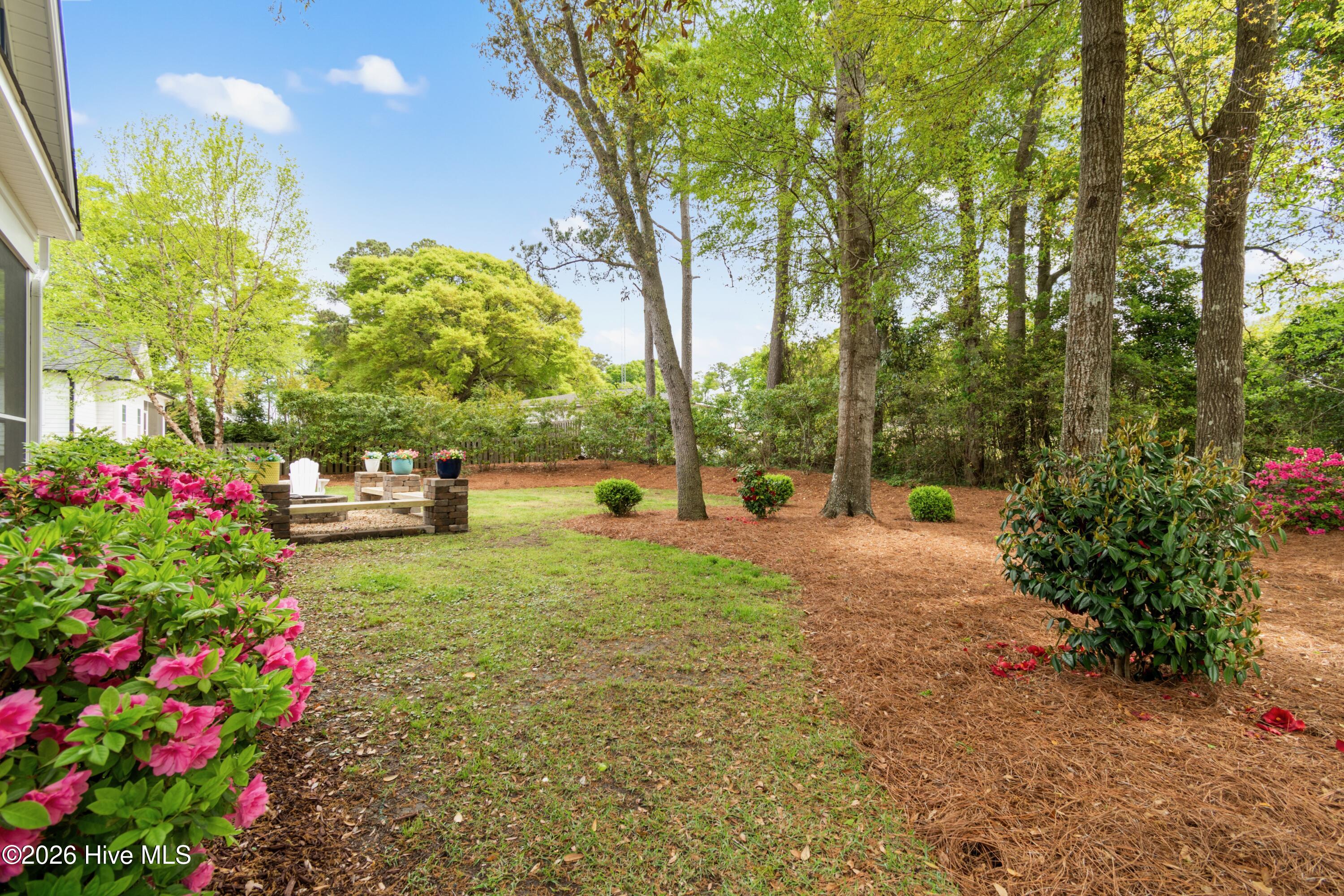 100565384 | Photo 45