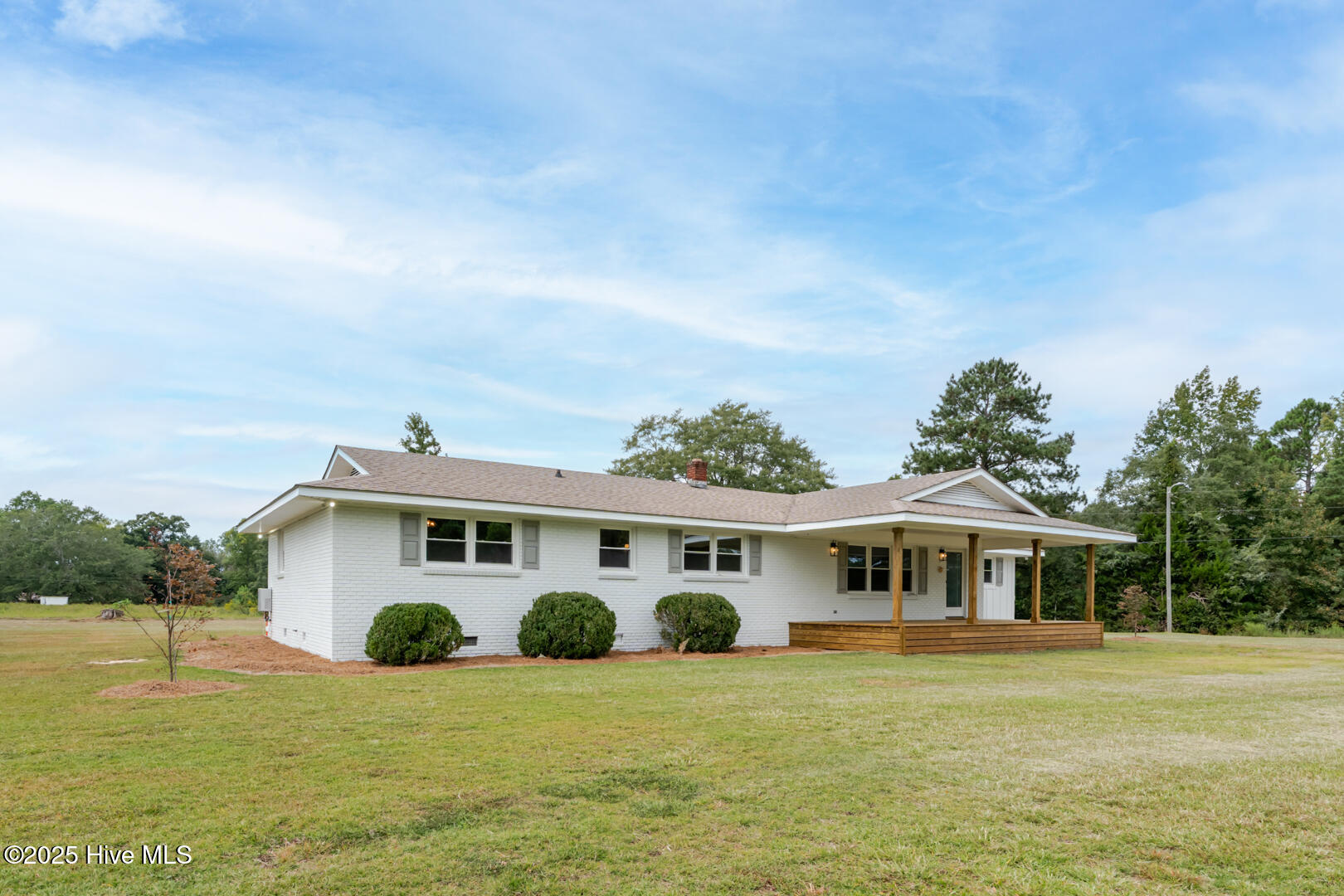 Peanut_Plant_ZoeyLensPhotography-16