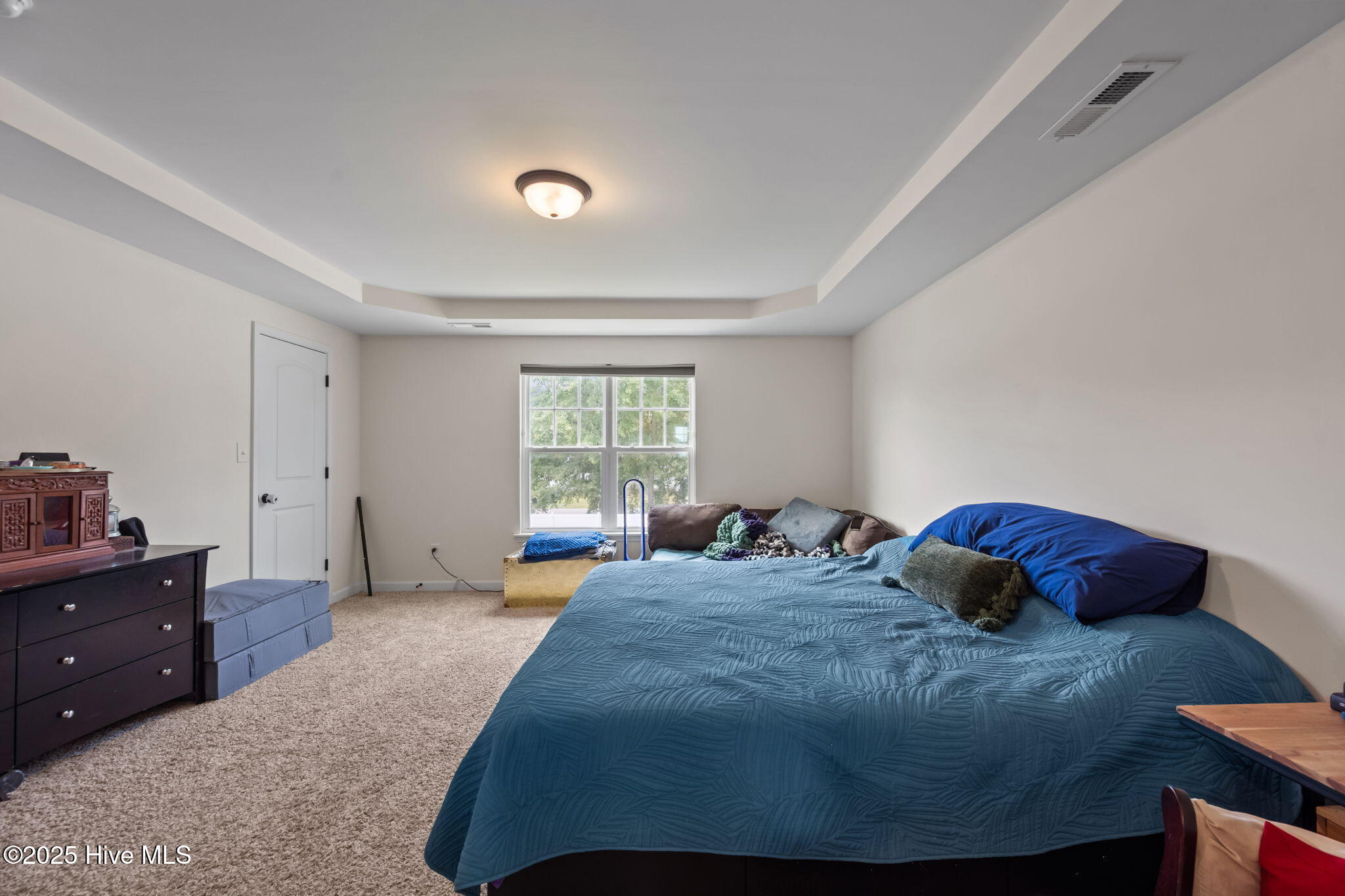 100534756 | Photo 28