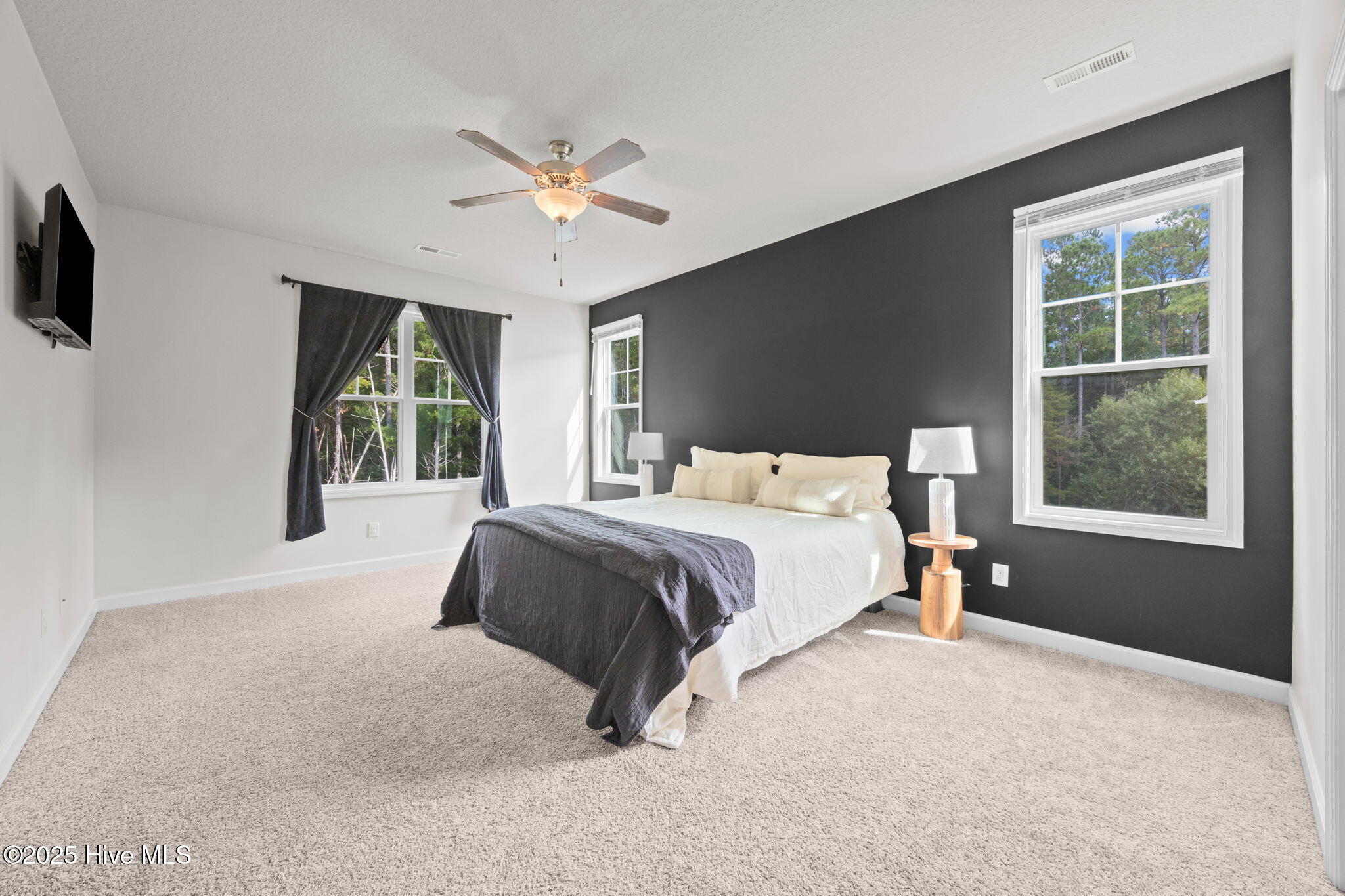 100532531 | Photo 11