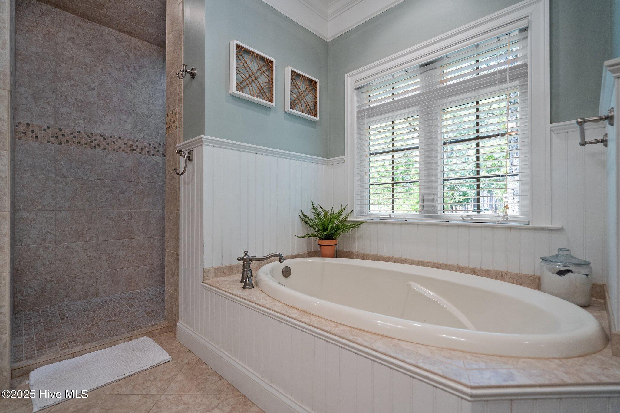 100565962 | Photo 33