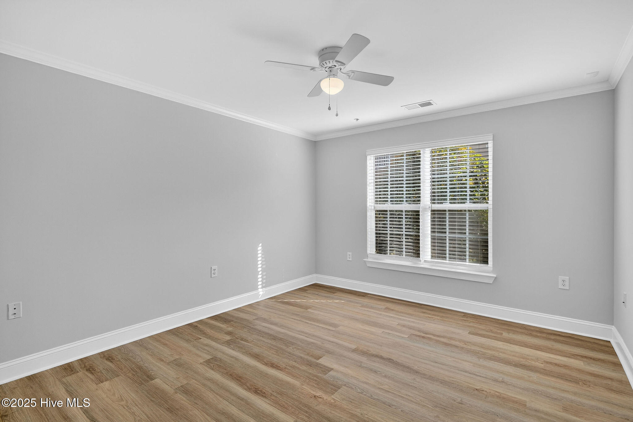 100517660 | Photo 18