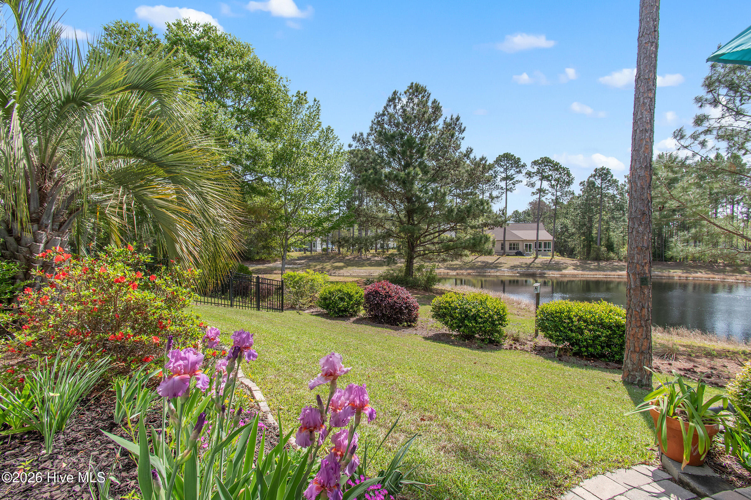 100555309 | Photo 40