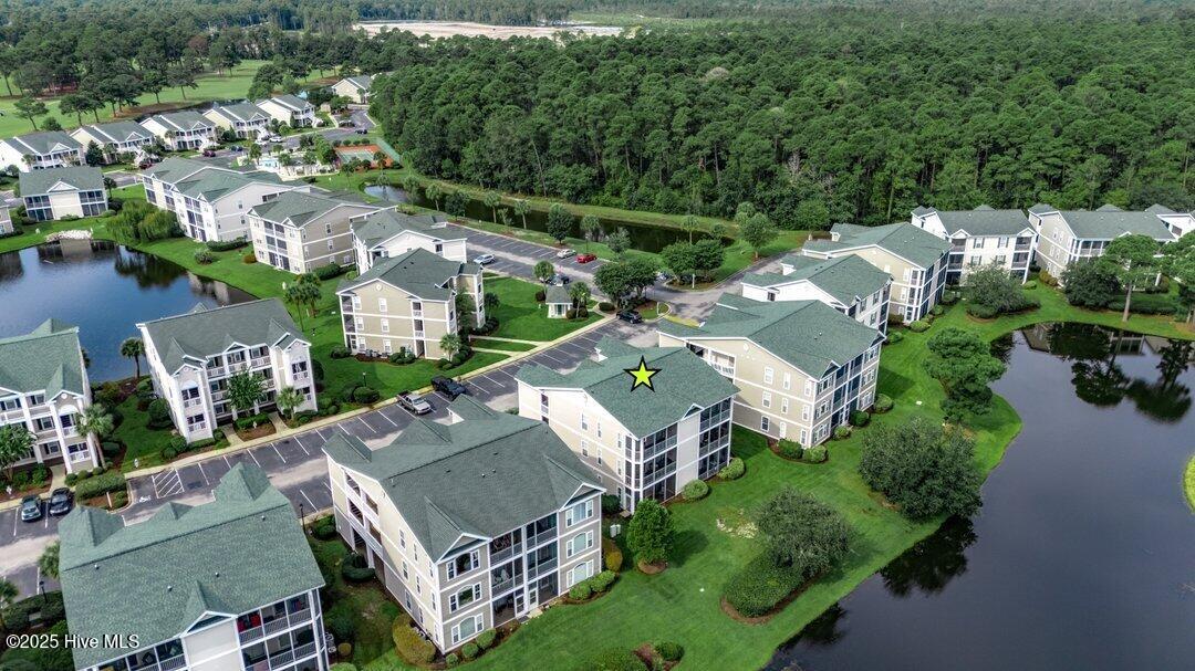 100528318 | Photo 30