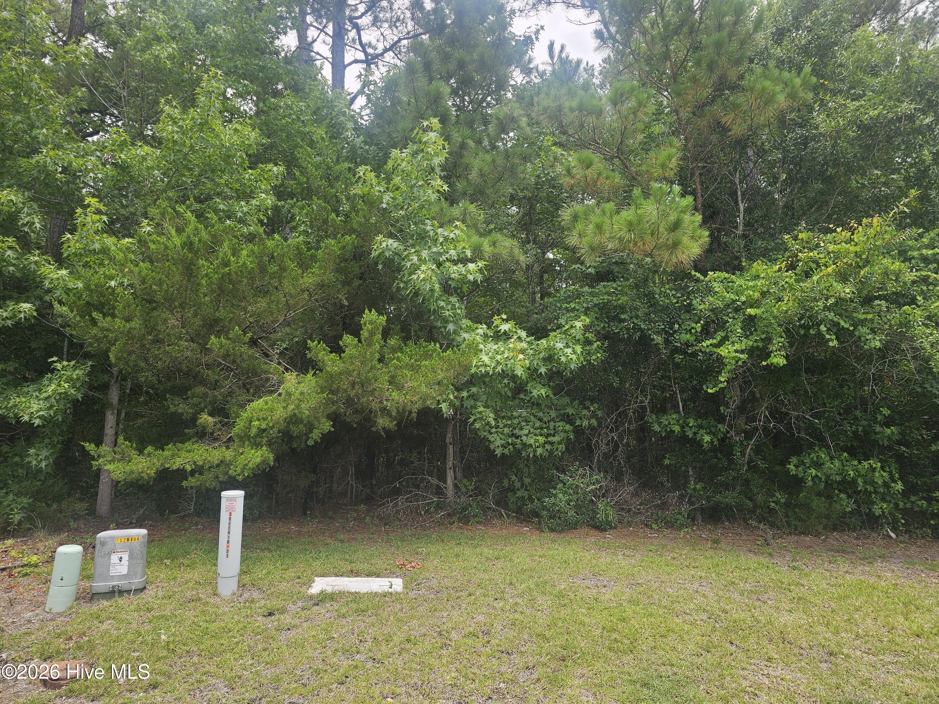 1802 227 Arctic Tern Court,Morehead City