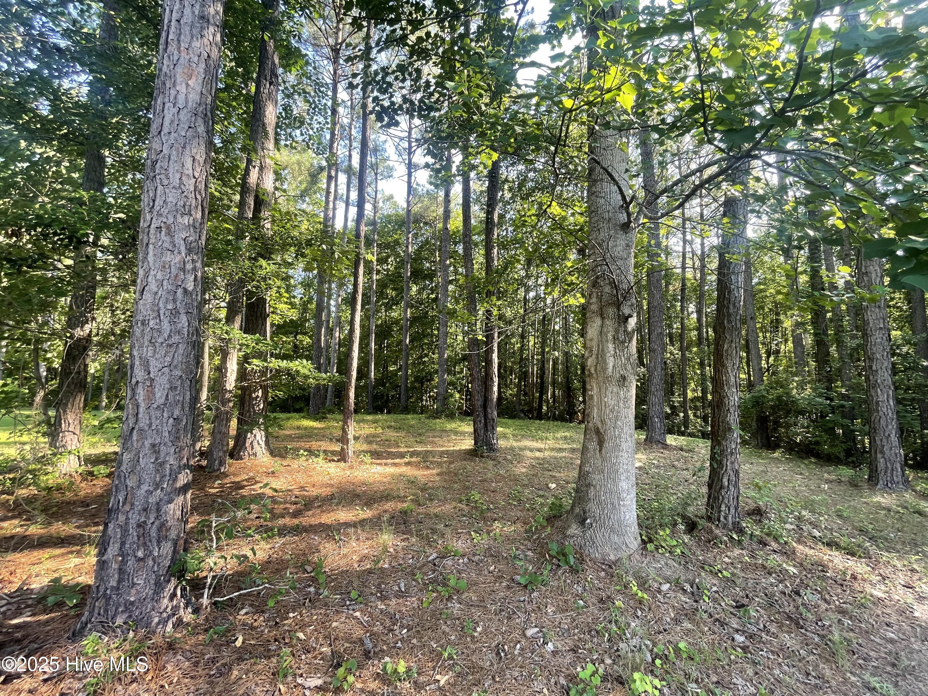 112 Chickory Lane, Minnesott Beach, NC, 28510