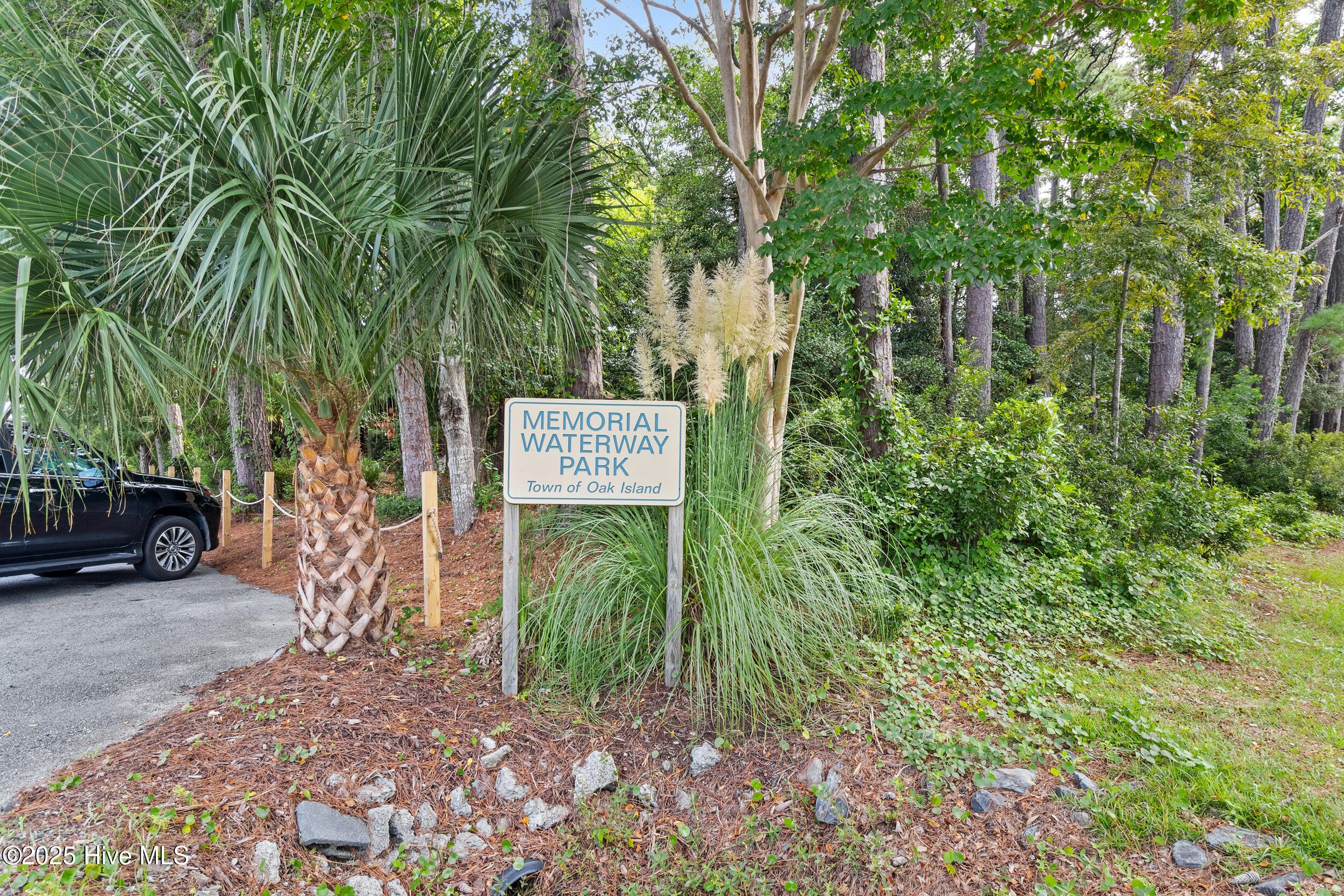 100525296 | Photo 40