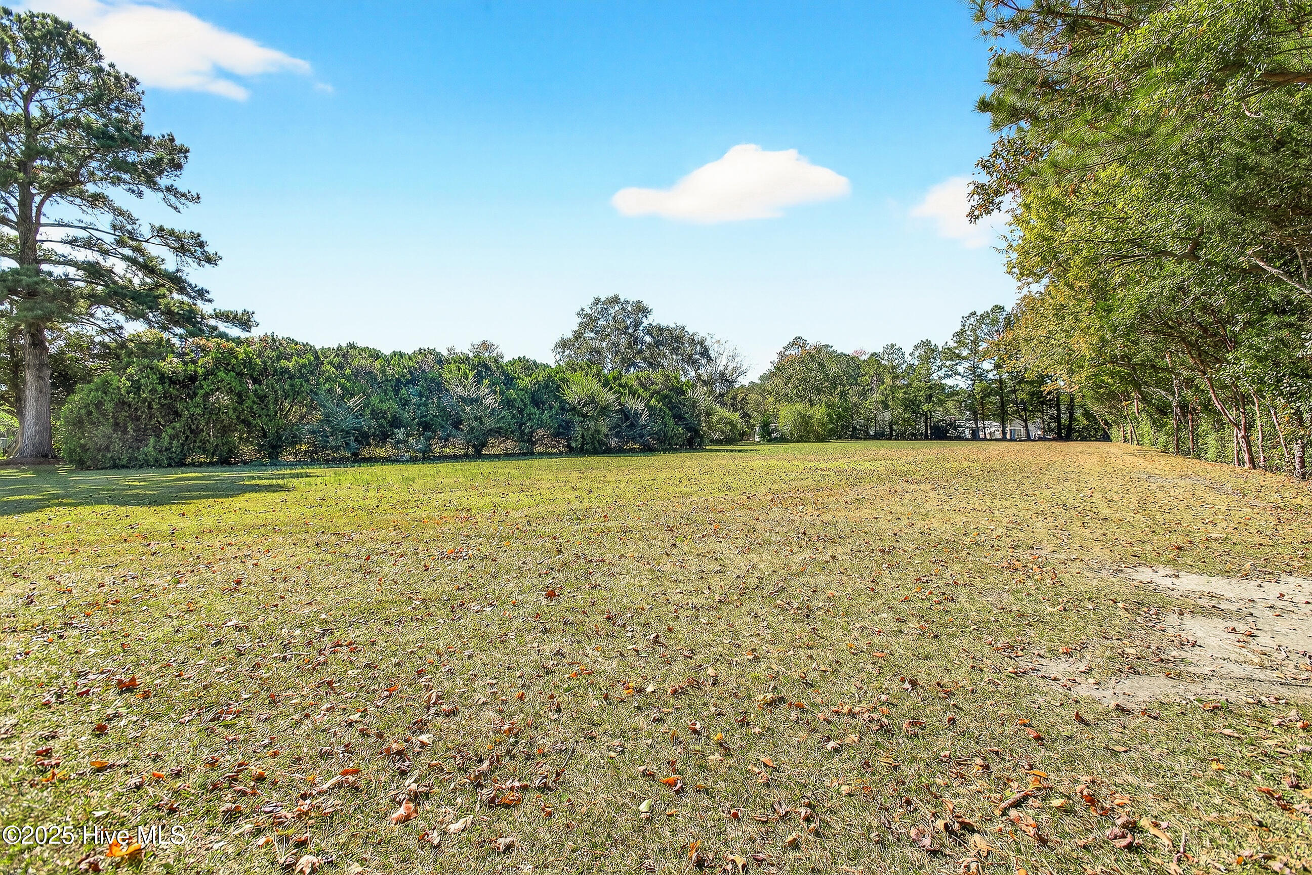 100543358 | Photo 27